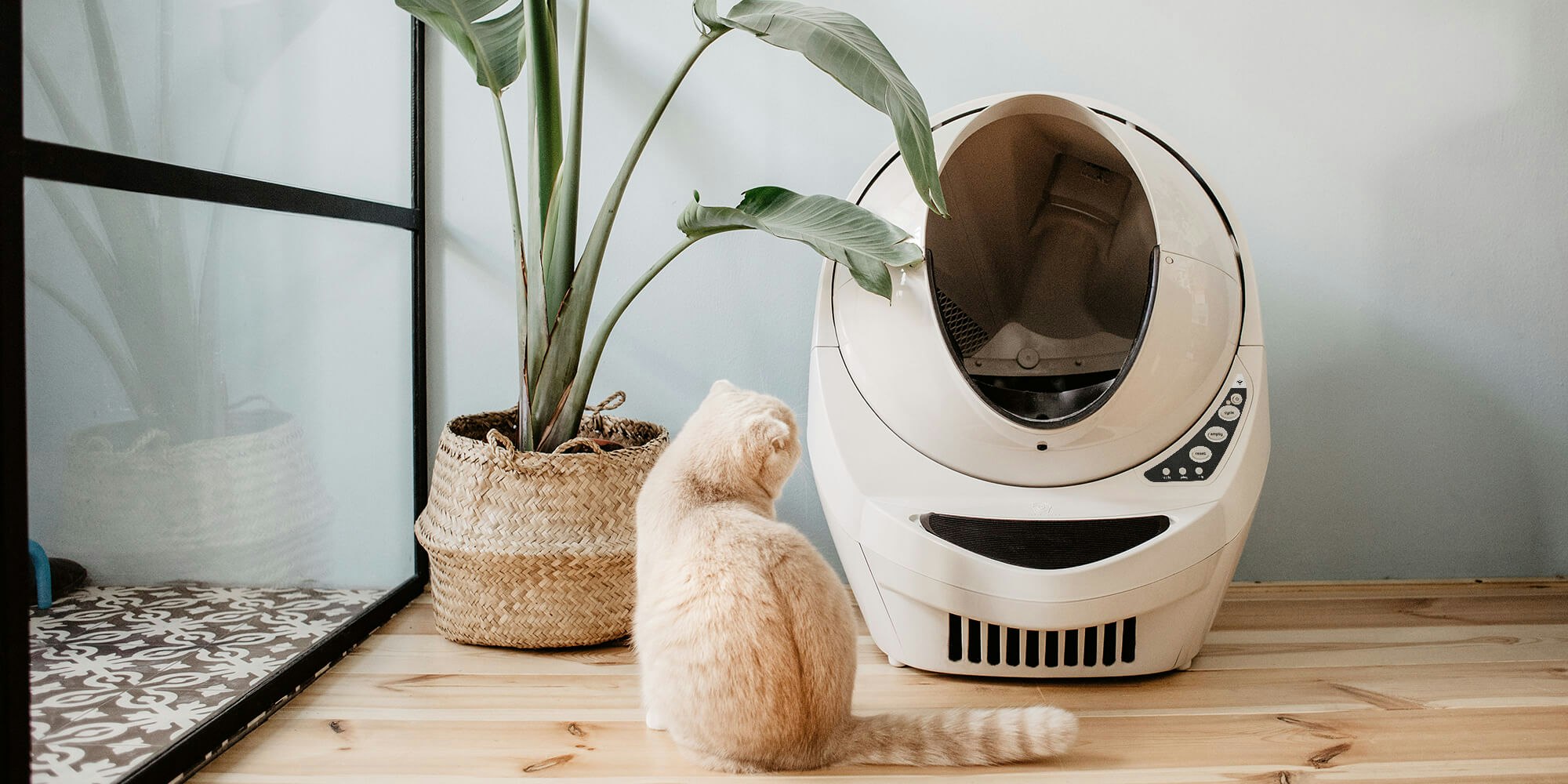 litter robot retailers