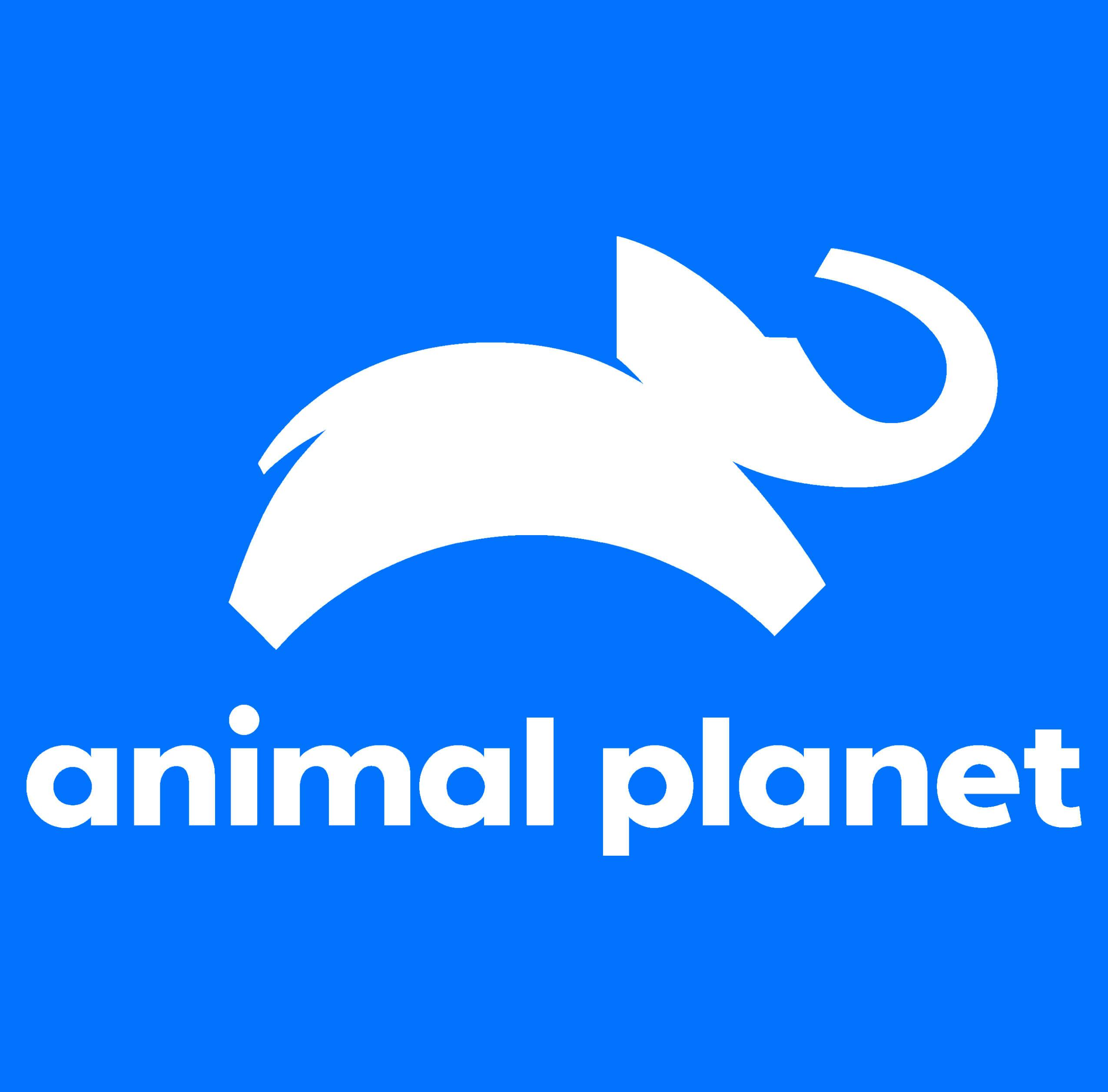 Animal Planet: 3 Ways to Watch Animal Planet Online for Free (Feb. '20)