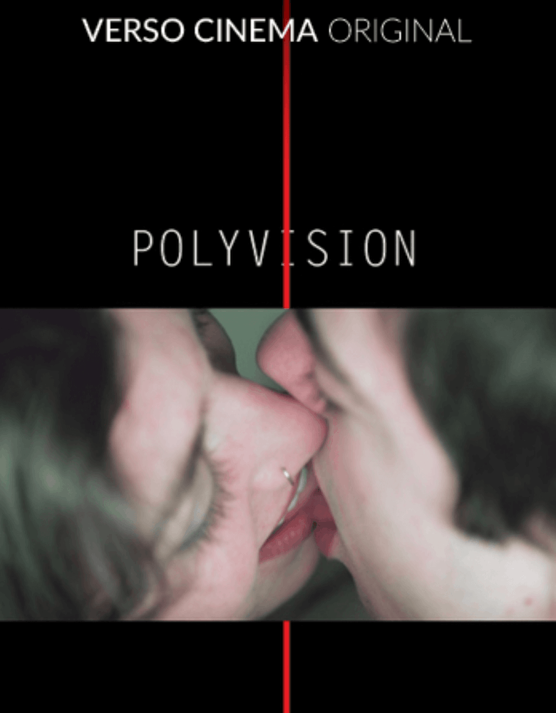 soft porn movie poster for Polyvision