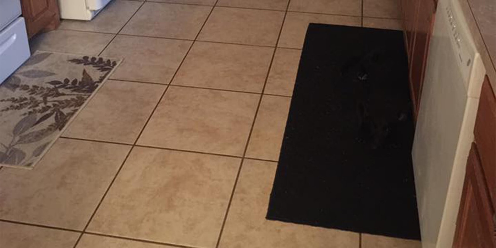 black dog on black mat