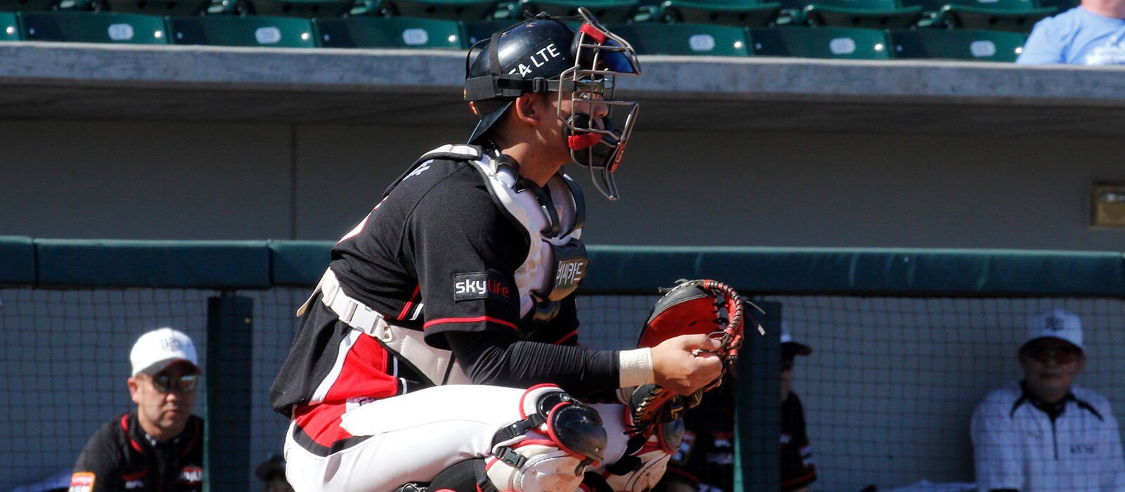 Stream Korean Baseball Live How to Watch KBO League Baseball Online