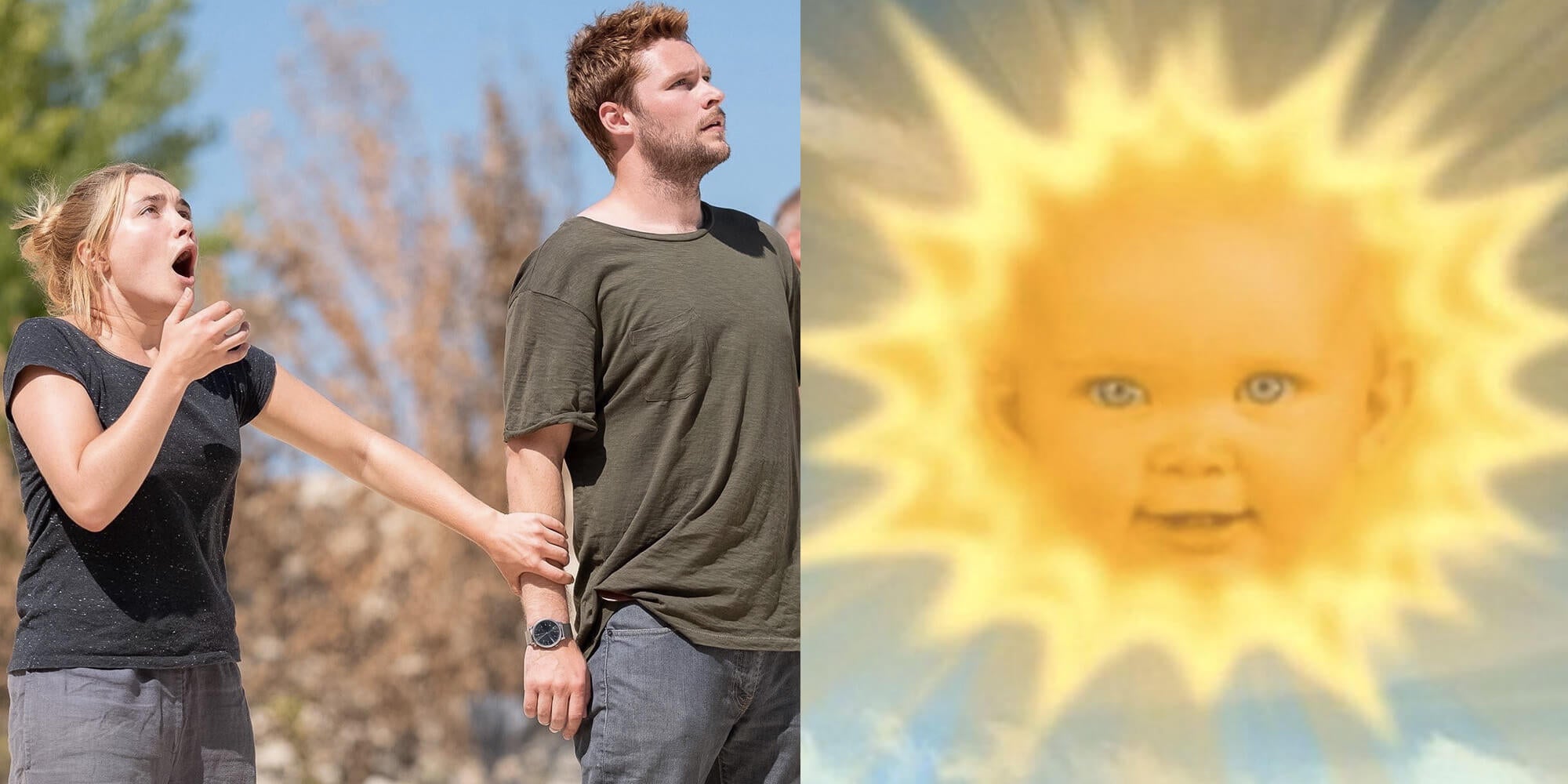 There's a Great New 'Midsommar' Meme on Twitter