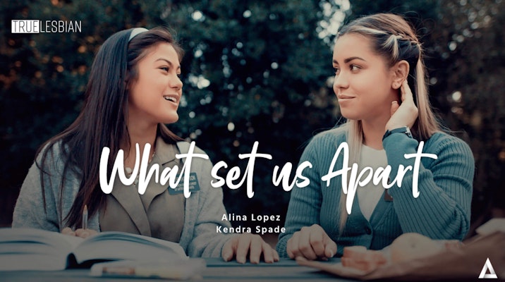 softcore lesbian porn movie poster for What Set Us Apart showing two young women talking