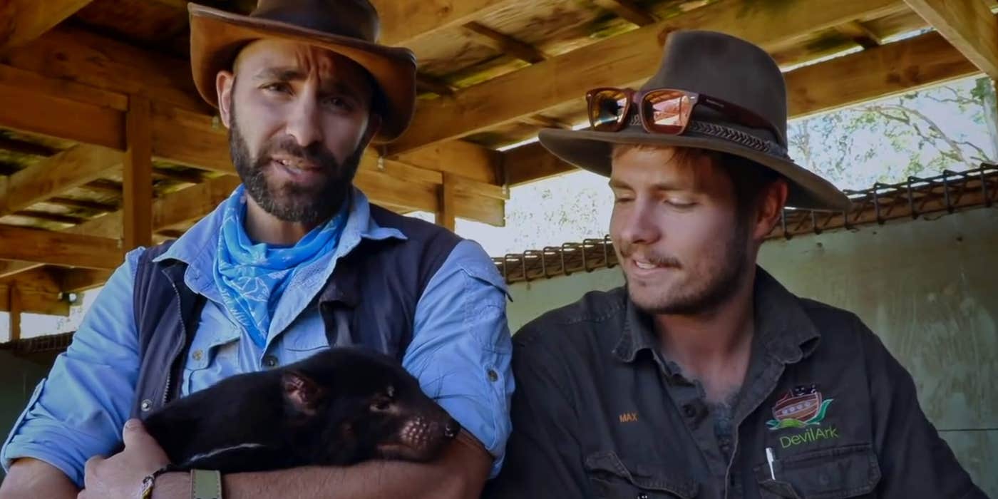Stream 'Coyote Peterson: Brave the Wild': How to Watch Online