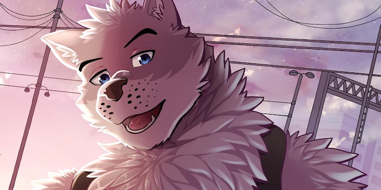760px x 380px - furries - The Daily Dot