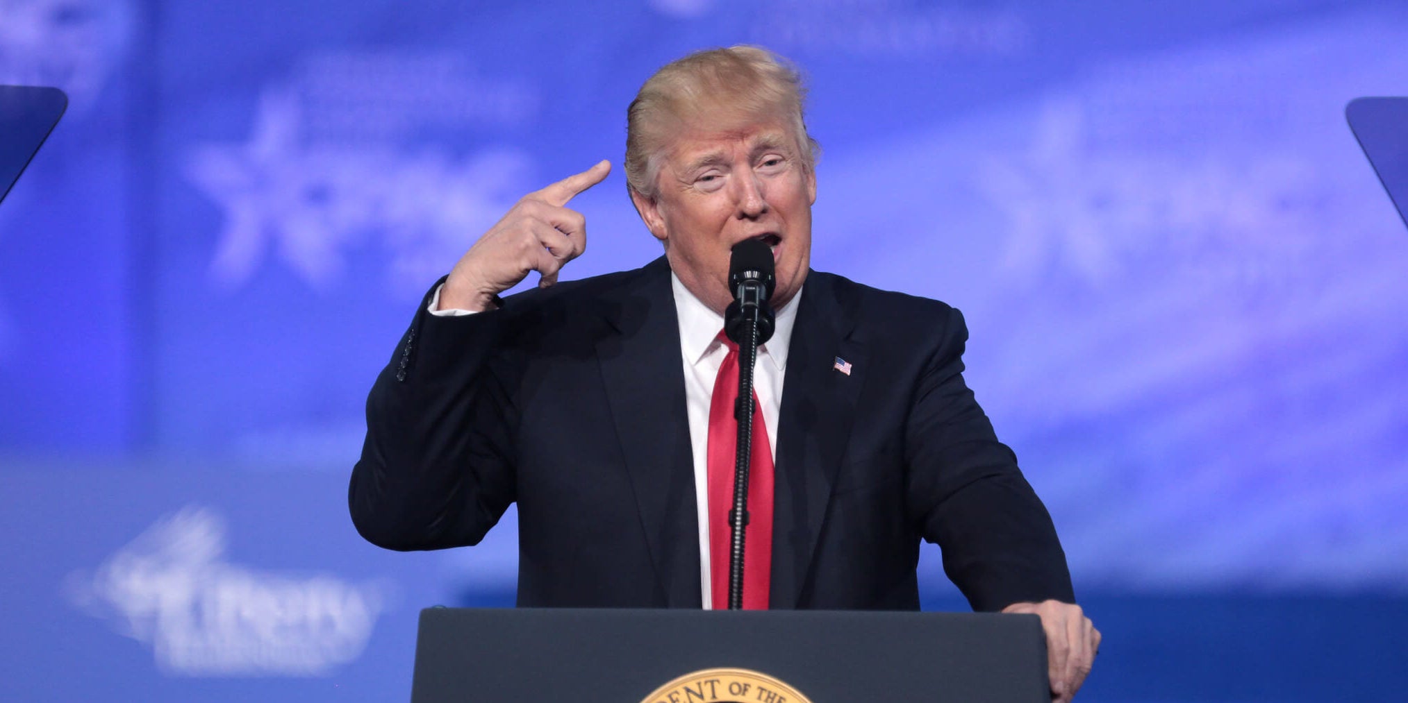 trump freefall trump freefall