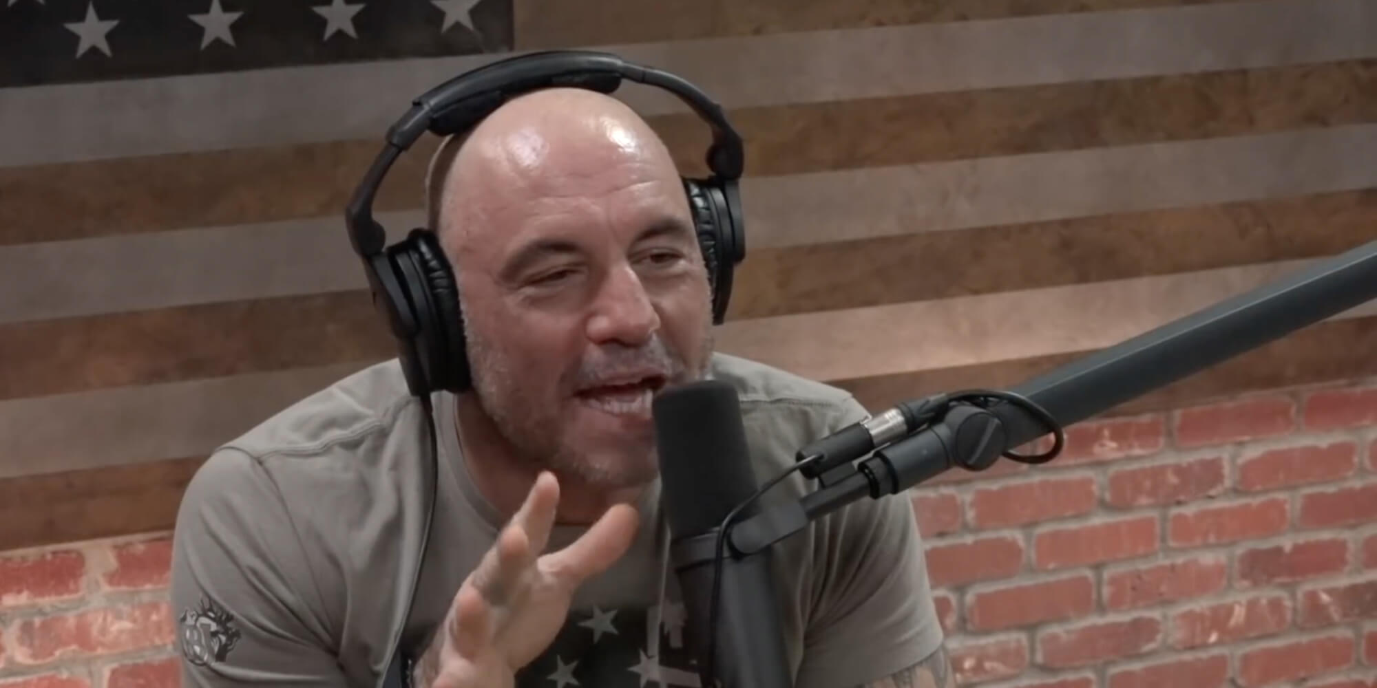 Joe Rogan | The Daily Dot