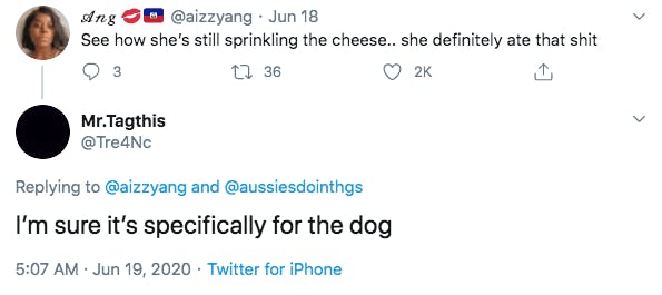 dog pizza