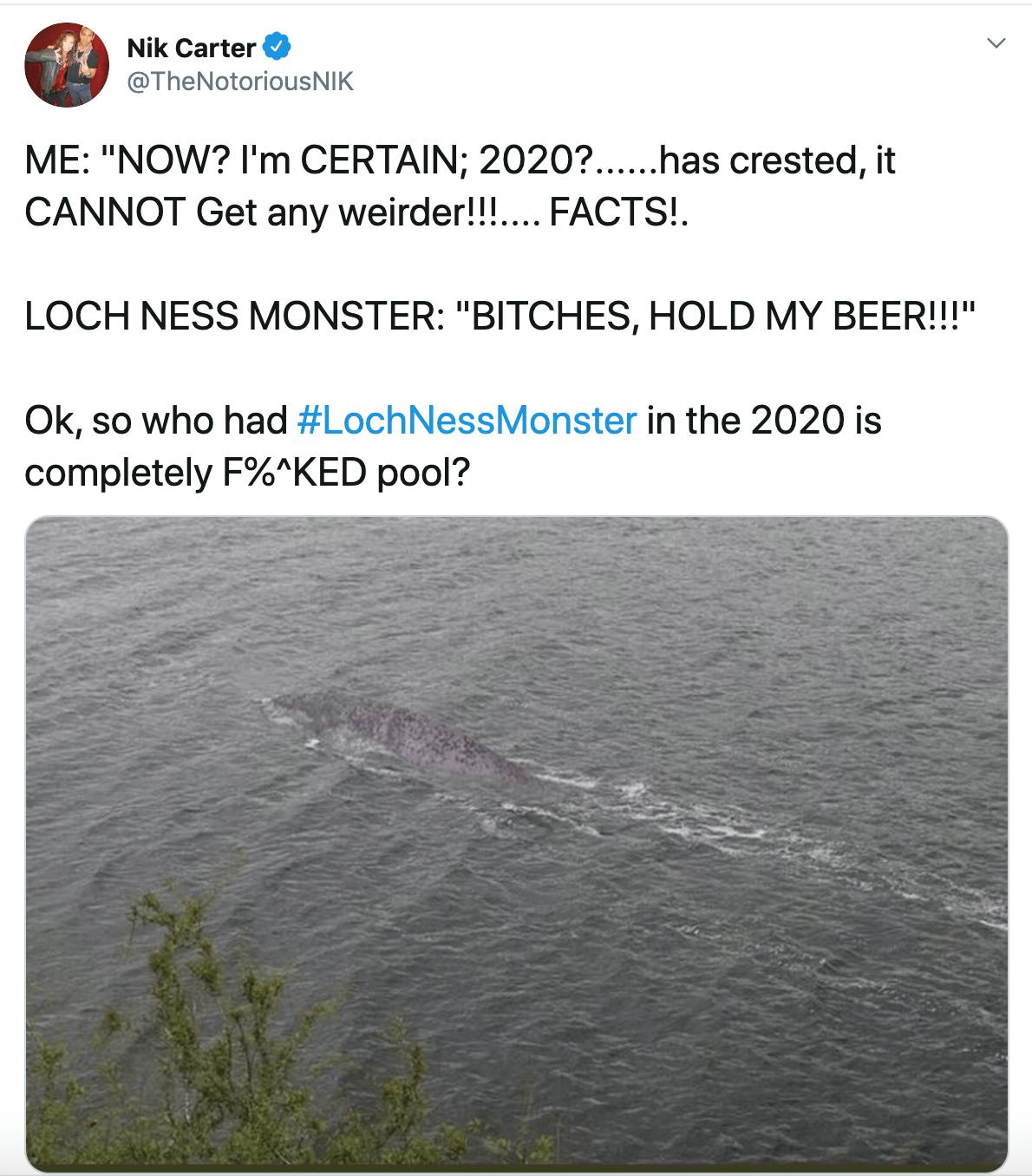 ME: "NOW? I'm CERTAIN; 2020?......has crested, it CANNOT Get any weirder!!!.... FACTS!.  LOCH NESS MONSTER: "BITCHES, HOLD MY BEER!!!"  Ok, so who had #LochNessMonster in the 2020 is completely F%^KED pool?