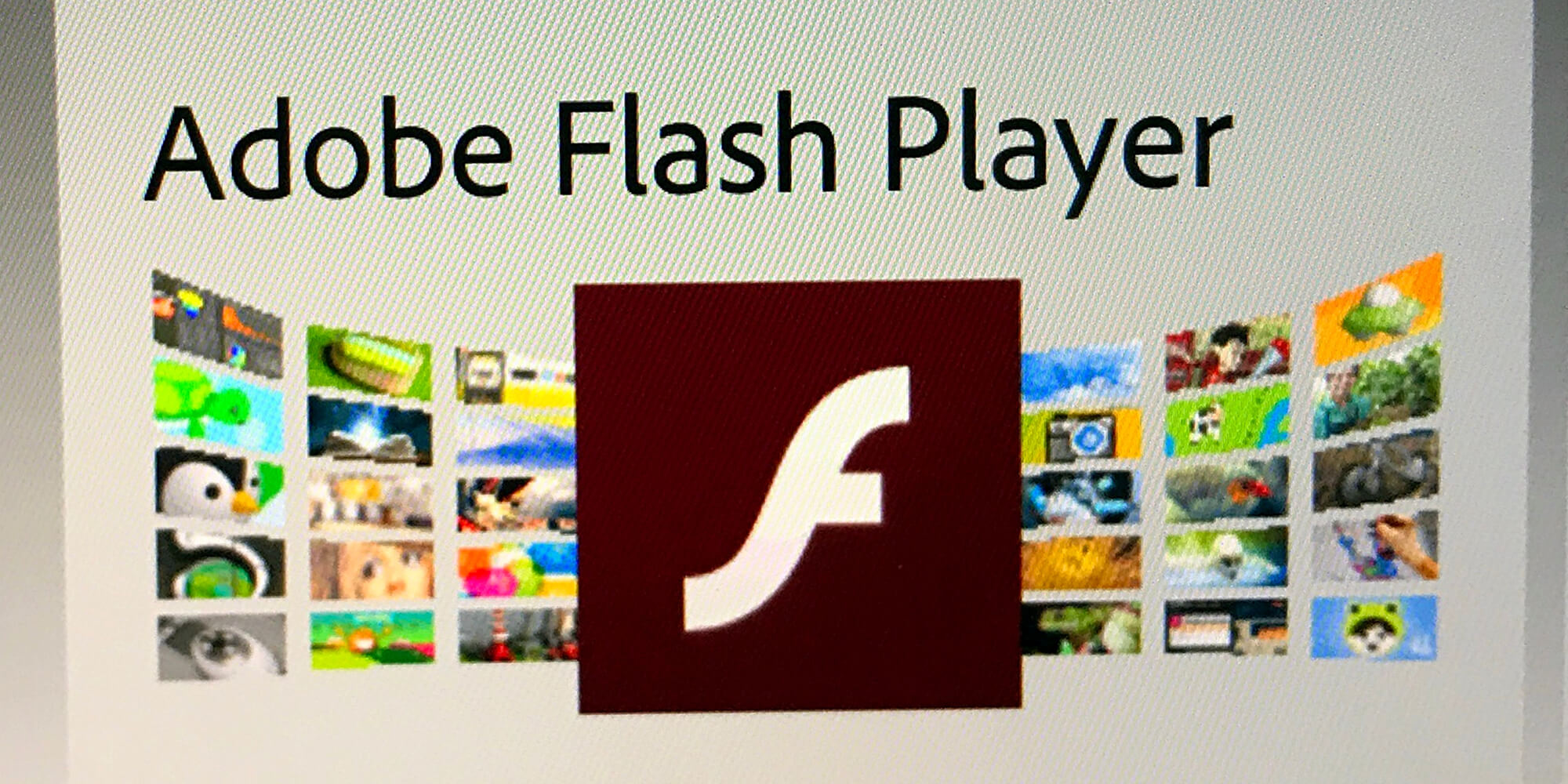 download adobve flash for chrome