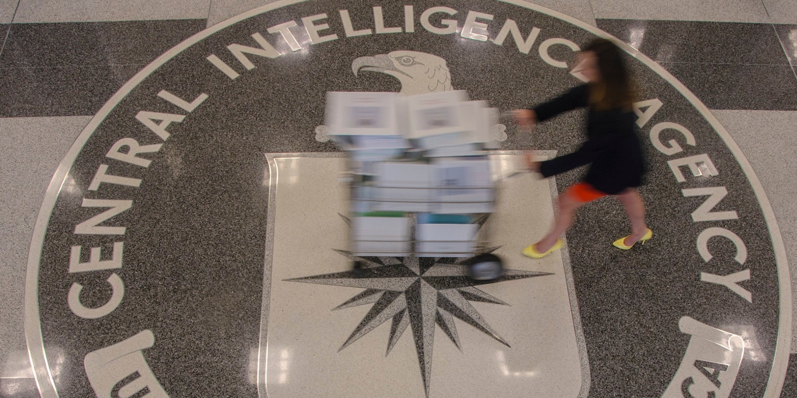 The logo for the central intelligence agency