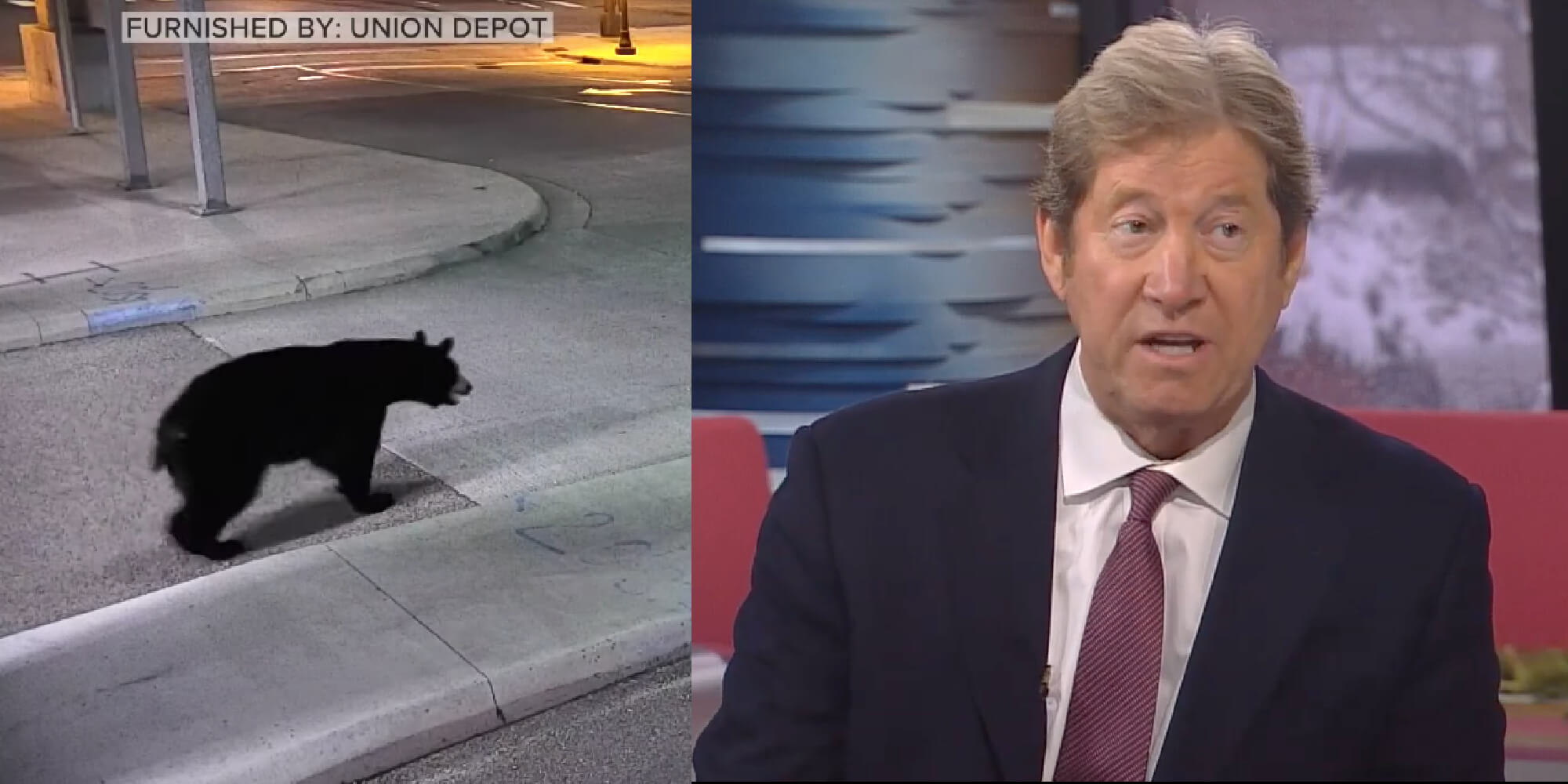 Homepage article image