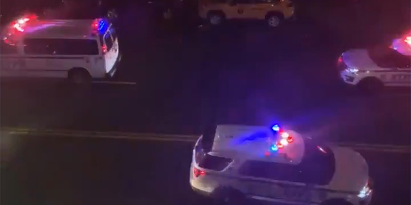 nypd vehicles with lights and sirens