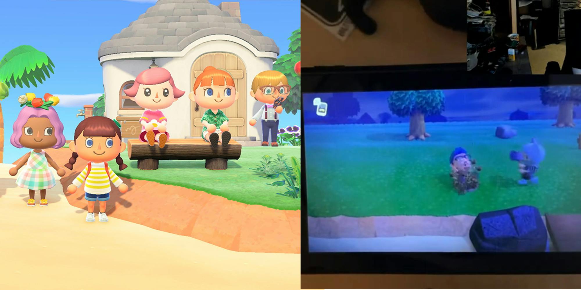 Sex Toys Now Work With Animal Crossing: New Horizons