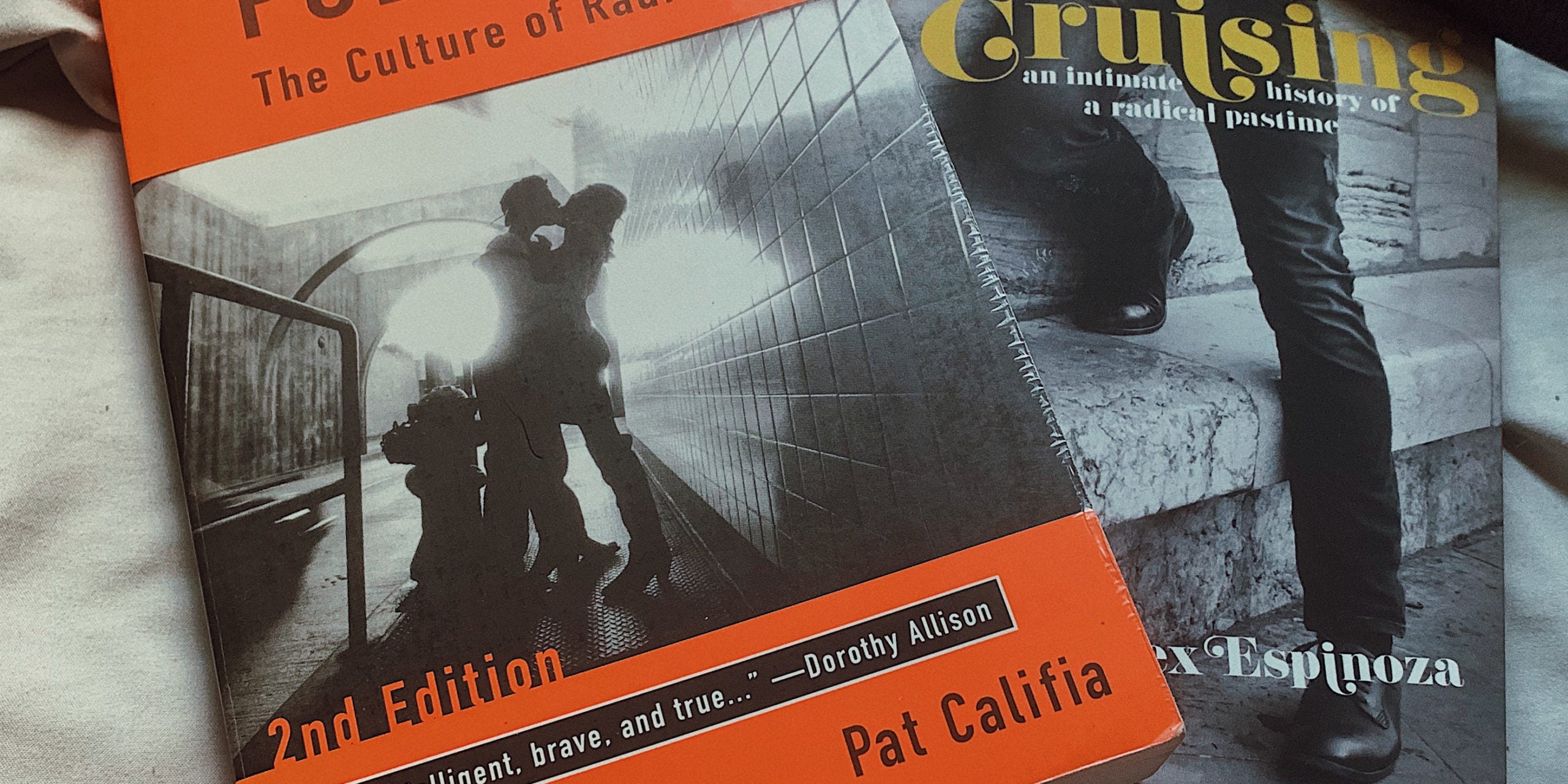 A closeup of two formative texts on queer public sex: "Public Sex" by Pat Califia and "Cruising" by Alex Espinoza.