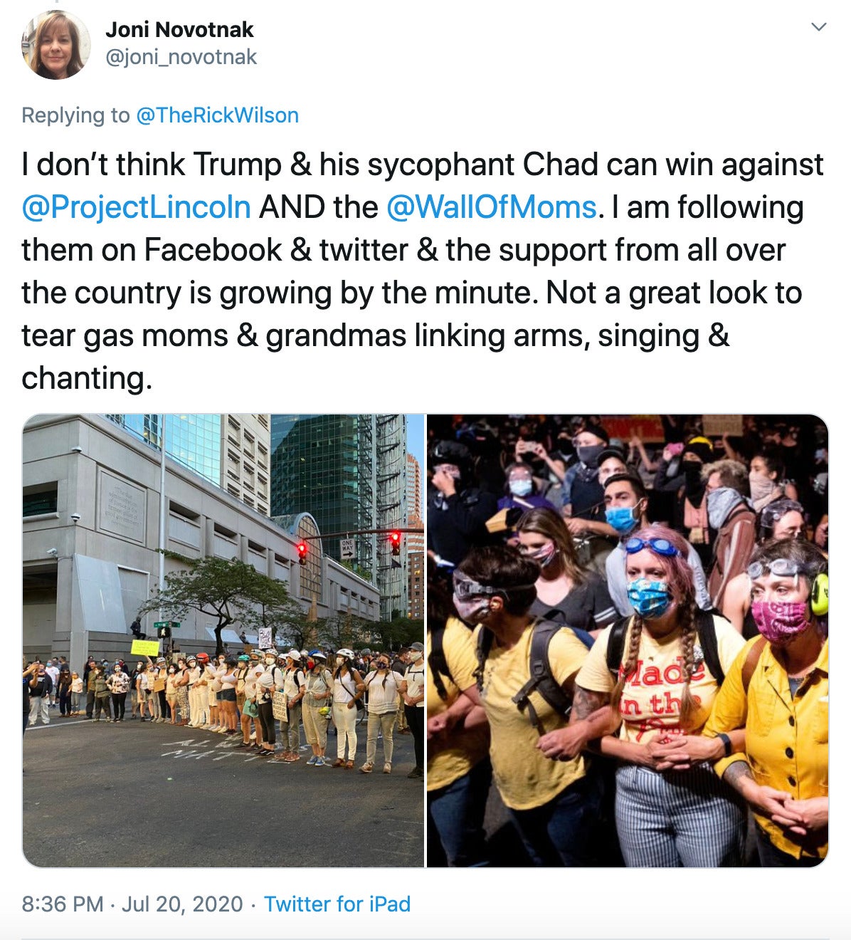 "I don’t think Trump & his sycophant Chad can win against @ProjectLincoln AND the @WallOfMoms . I am following them on Facebook & twitter & the support from all over the country is growing by the minute. Not a great look to tear gas moms & grandmas linking arms, singing & chanting." two photographs of the yellow clad protesters