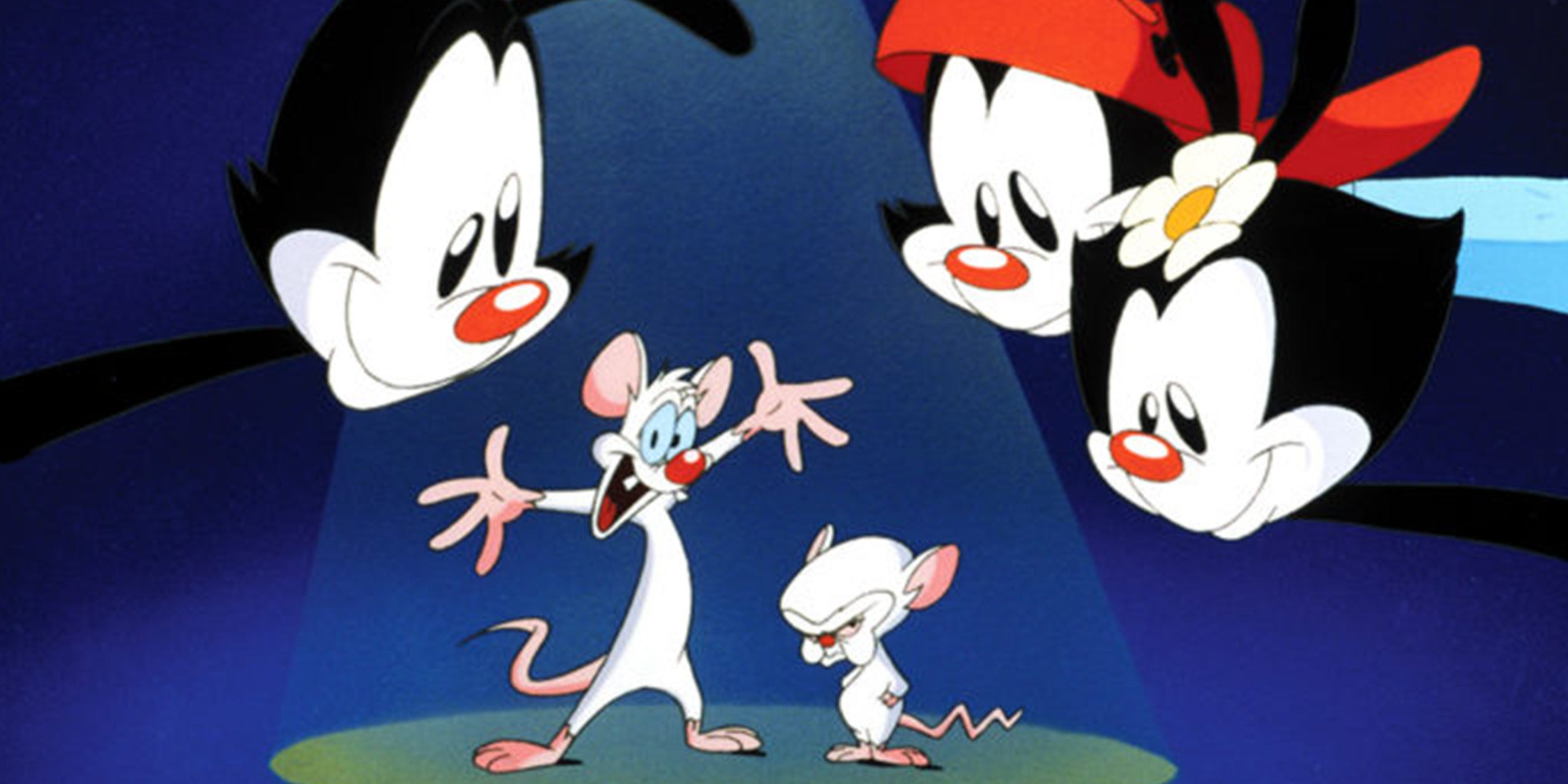 best cartoons for kids animaniacs