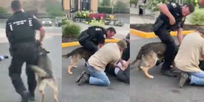 police dog bites man