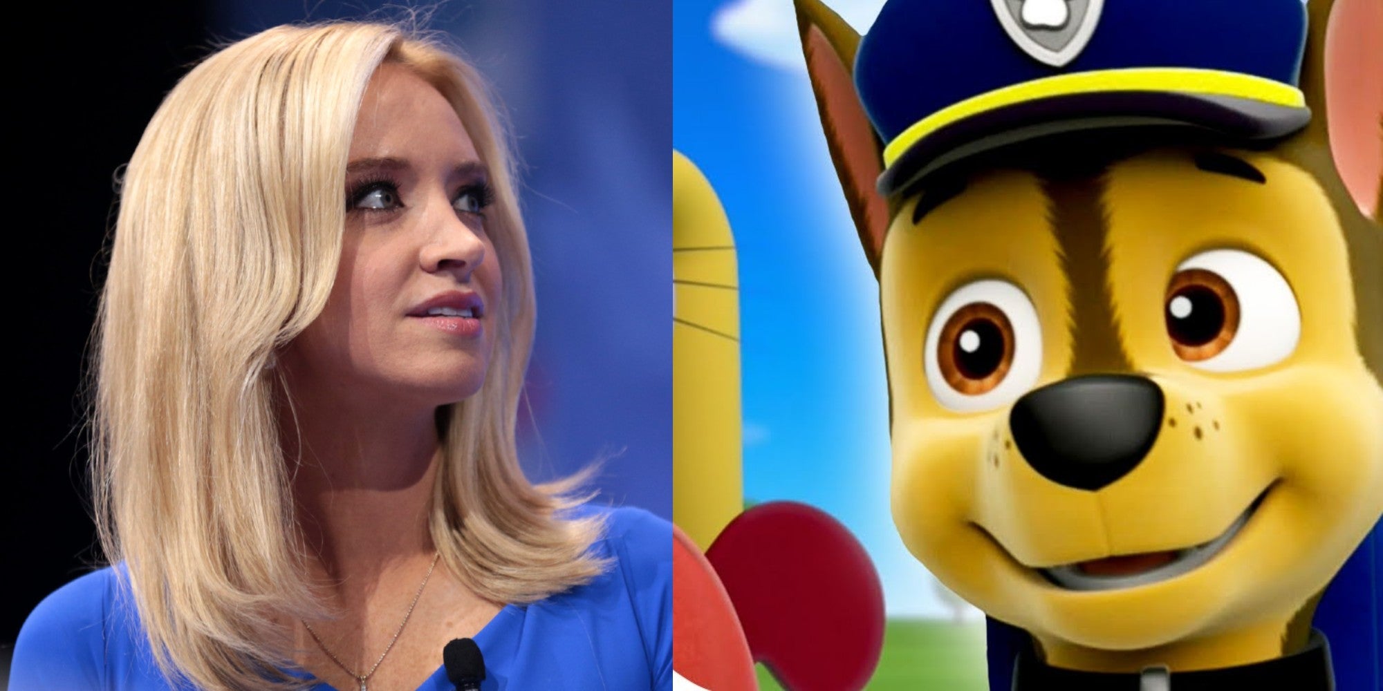 paw patrol cancelled paw patrol cancelled