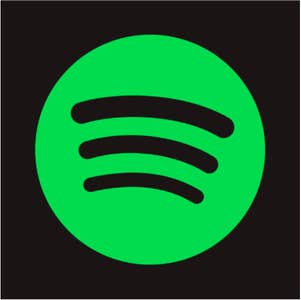 pricing - spotify