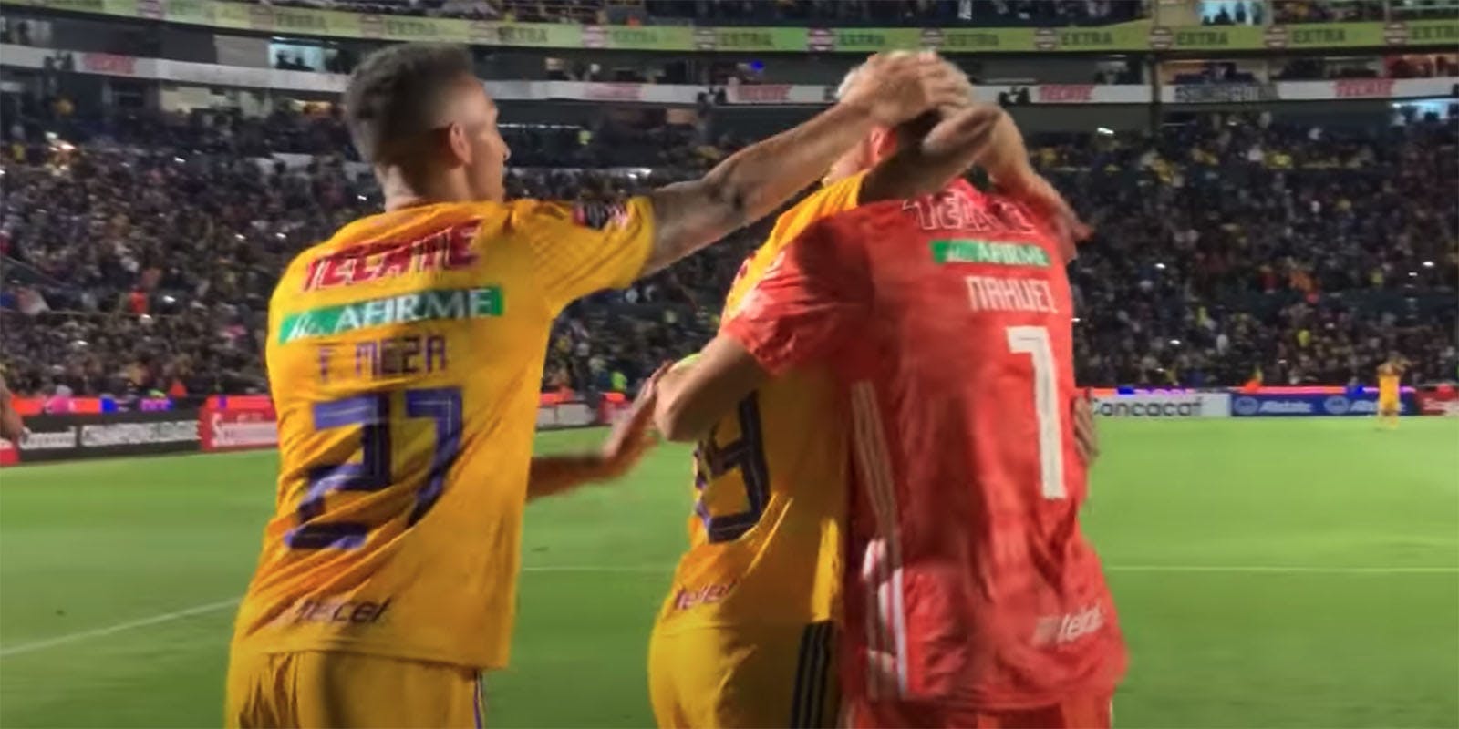 Tigres celebrate