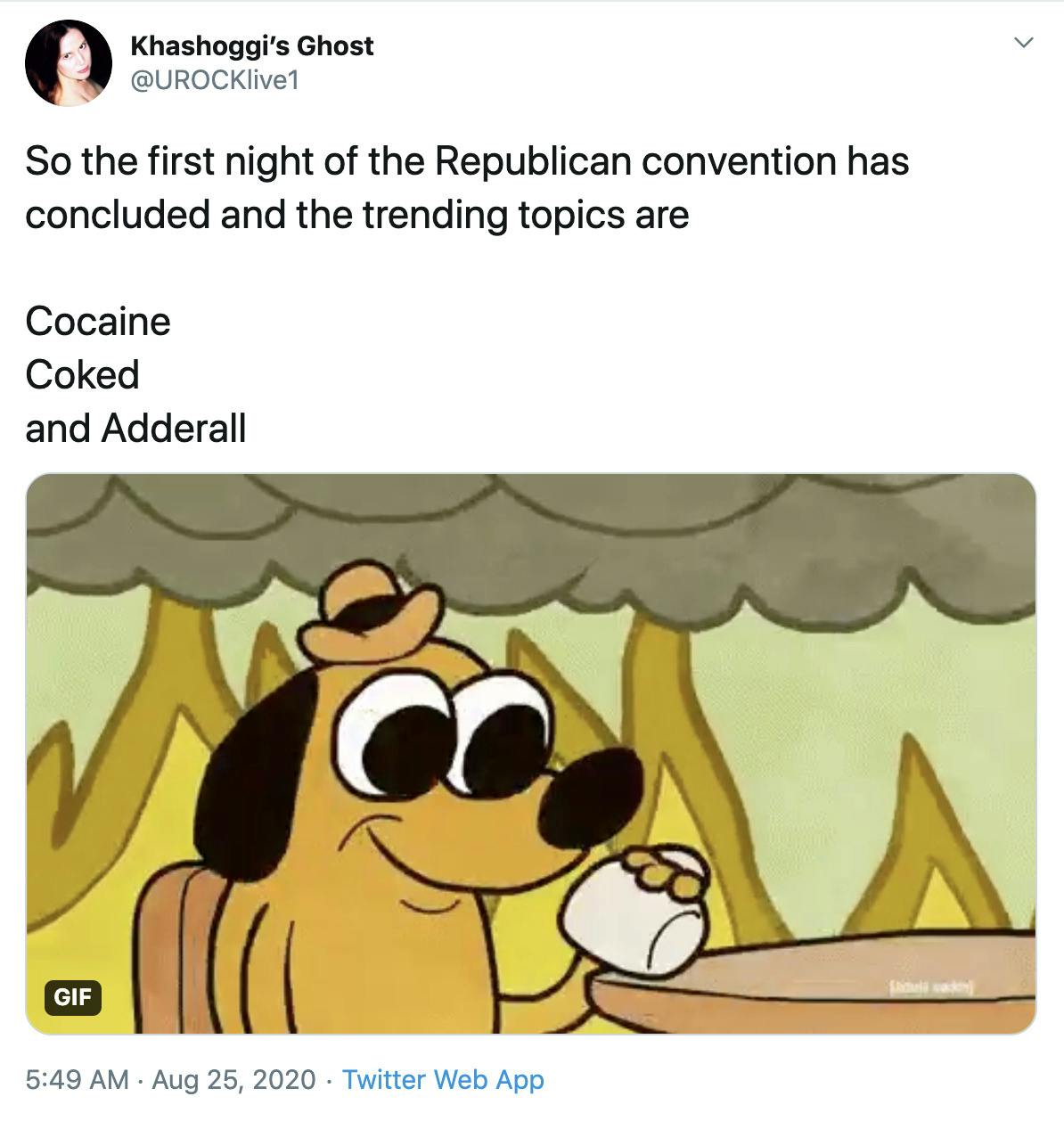 "So the first night of the Republican convention has concluded and the trending topics are  Cocaine Coked and Adderall" meme of the dog drinking coffee in a burning house saying everything is fine