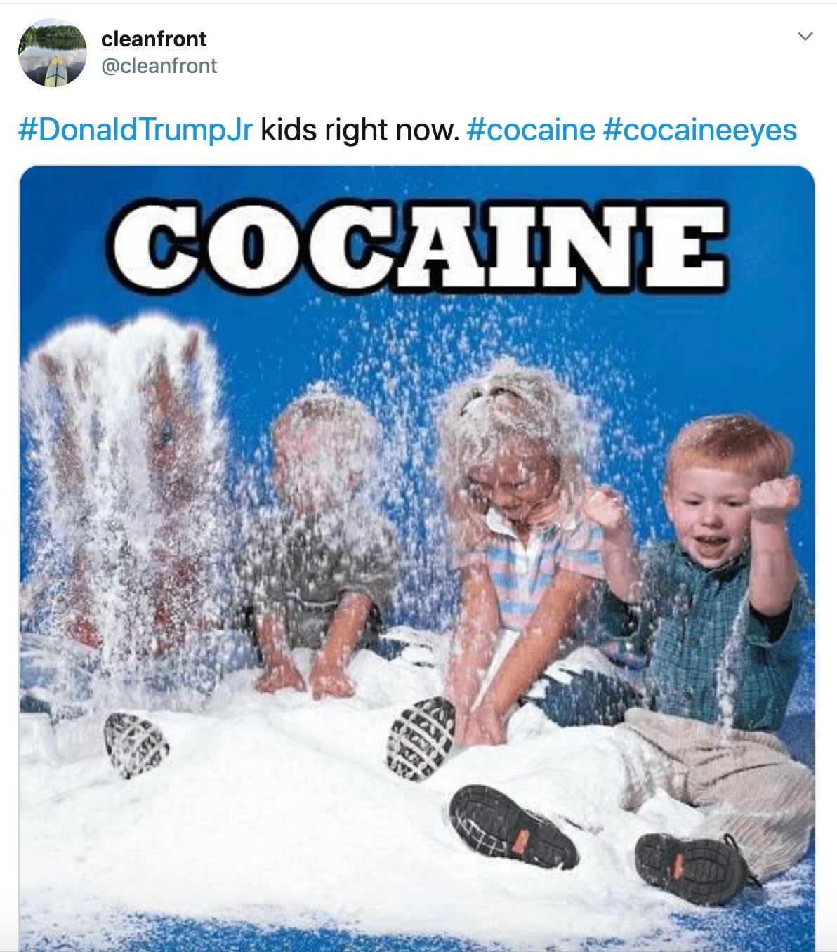 "#DonaldTrumpJr kids right now. #cocaine #cocaineeyes" image of toddlers playing in a heap of white powder