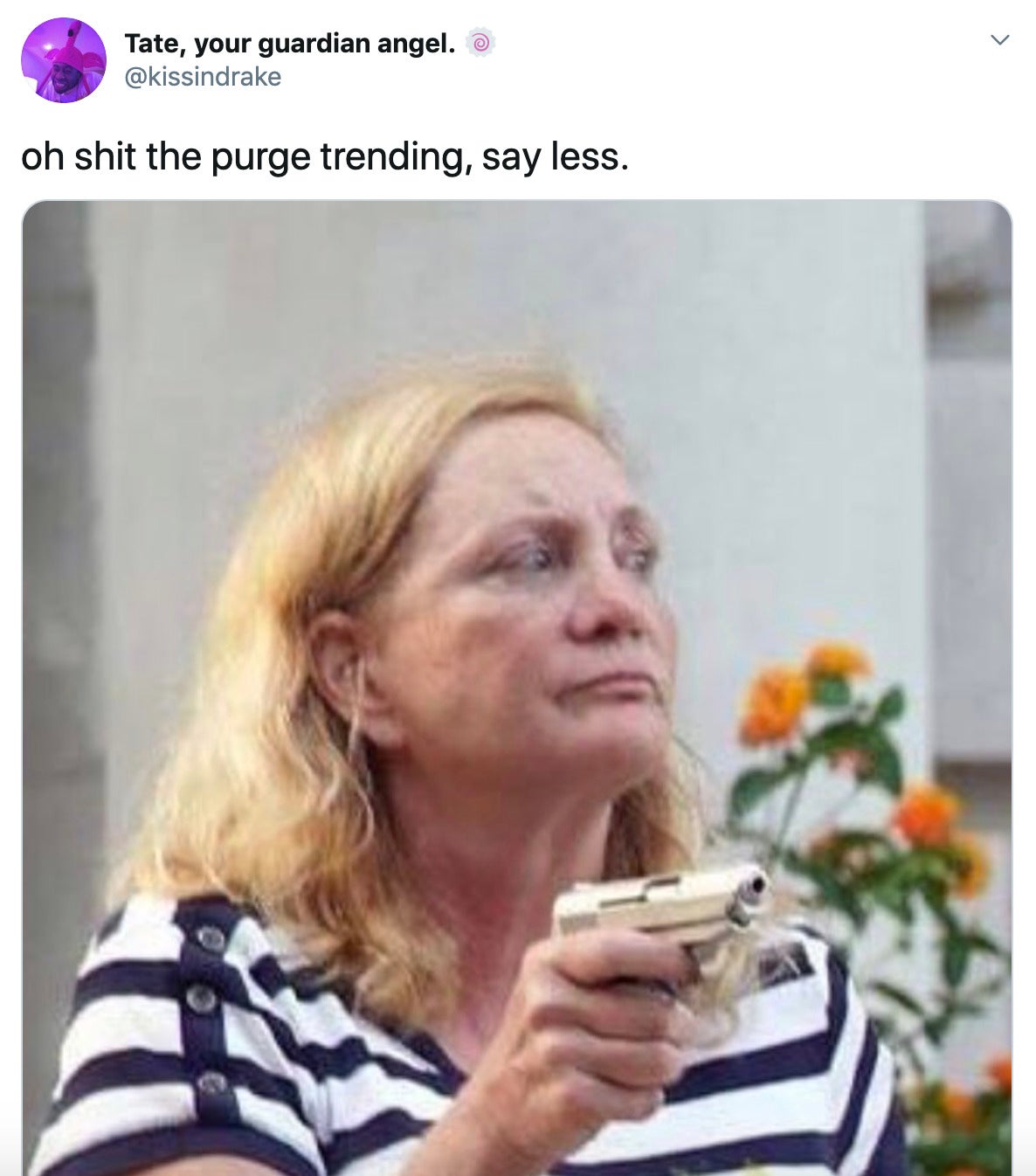 "oh shit the purge trending, say less." image of Patricia McCloskey pointing a gun at protesters