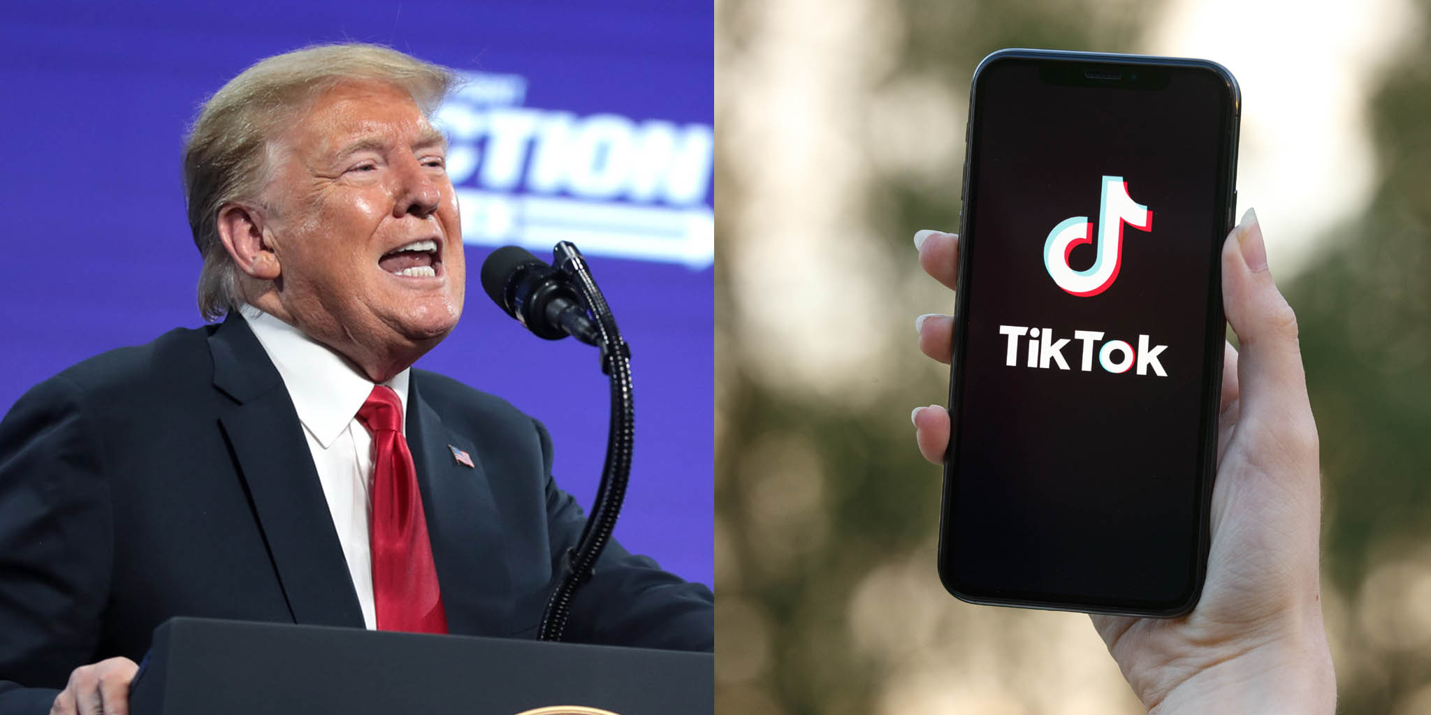 TikTok Says It Will 'Pursue All Remedies' Against Trump's Ban