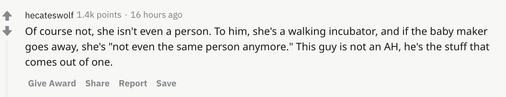 Of course not, she isn't even a person. To him, she's a walking incubator, and if the baby maker goes away, she's "not even the same person anymore." This guy is not an AH, he's the stuff that comes out of one.