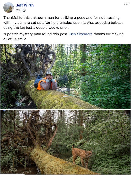 "Thankful to this unknown man for striking a pose and for not messing with my camera set up after he stumbled upon it. Also added, a bobcat using the log just a couple weeks prior.  *update* mystery man found this post! Ben Sizemore thanks for making all of us smile" image of Ben sprawled pseudo-seductively across a log followed by image of a Bob Cat on the same log