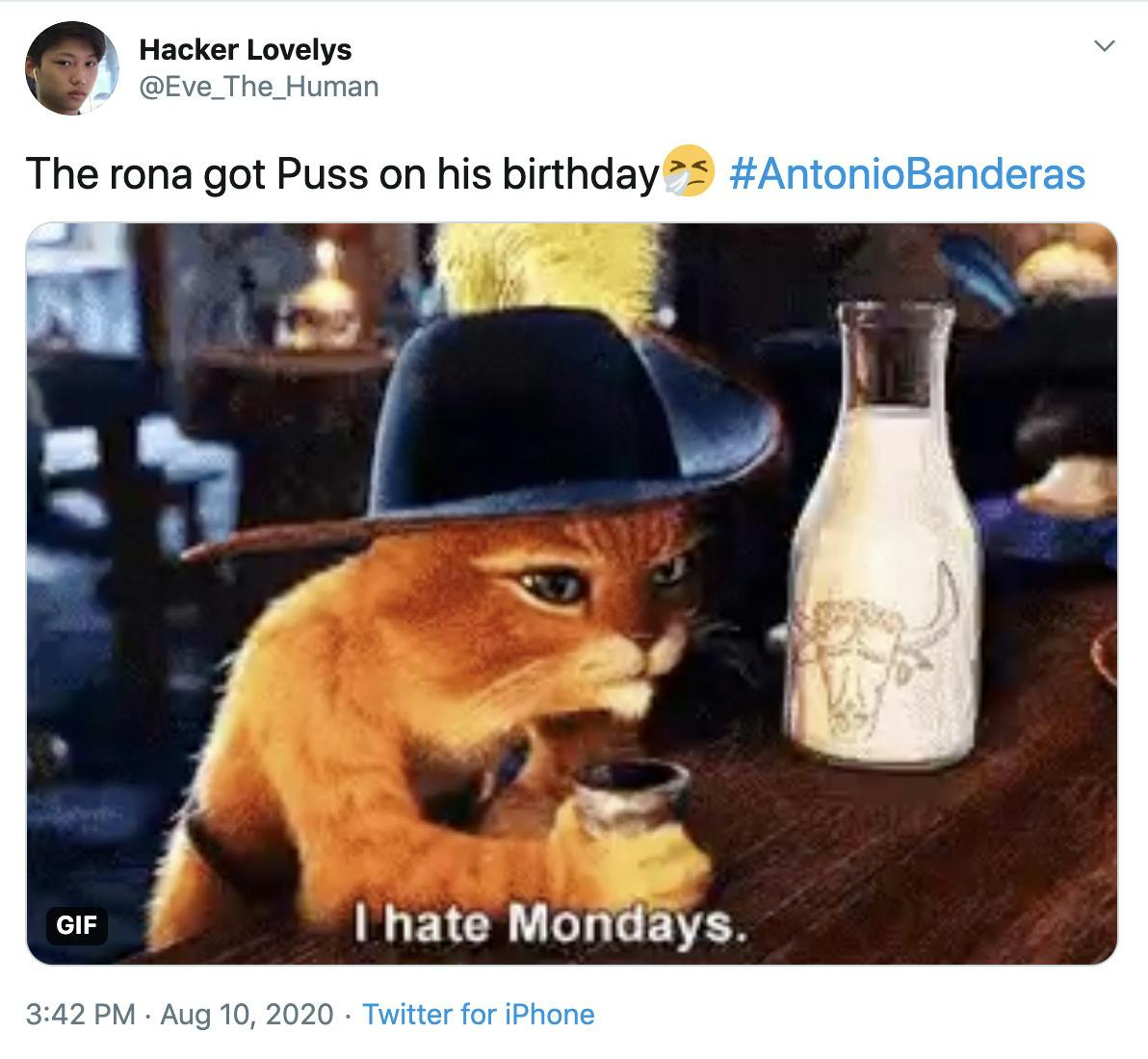 "The rona got Puss on his birthdaySneezing face #AntonioBanderas" gif of Puss in Boots from Shrek saying "I hate Mondays" while he drinks milk at a bar