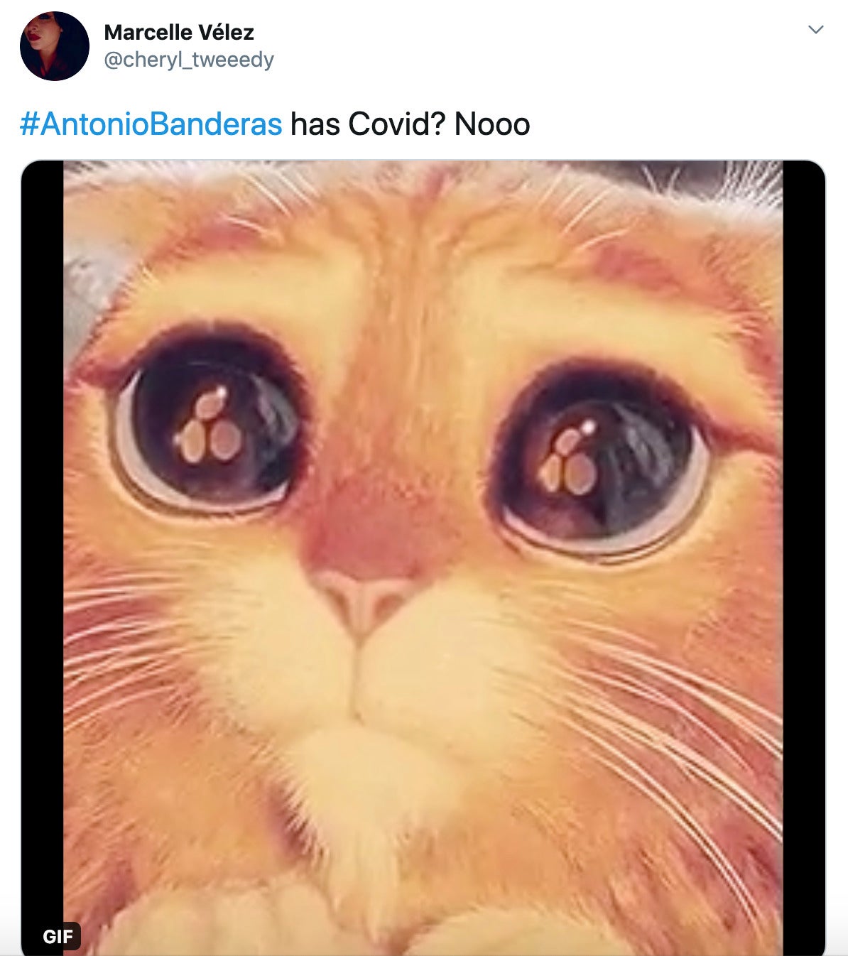 "#AntonioBanderas has Covid? Nooo" gif of Puss in Boots from Shrek making big sad eyes