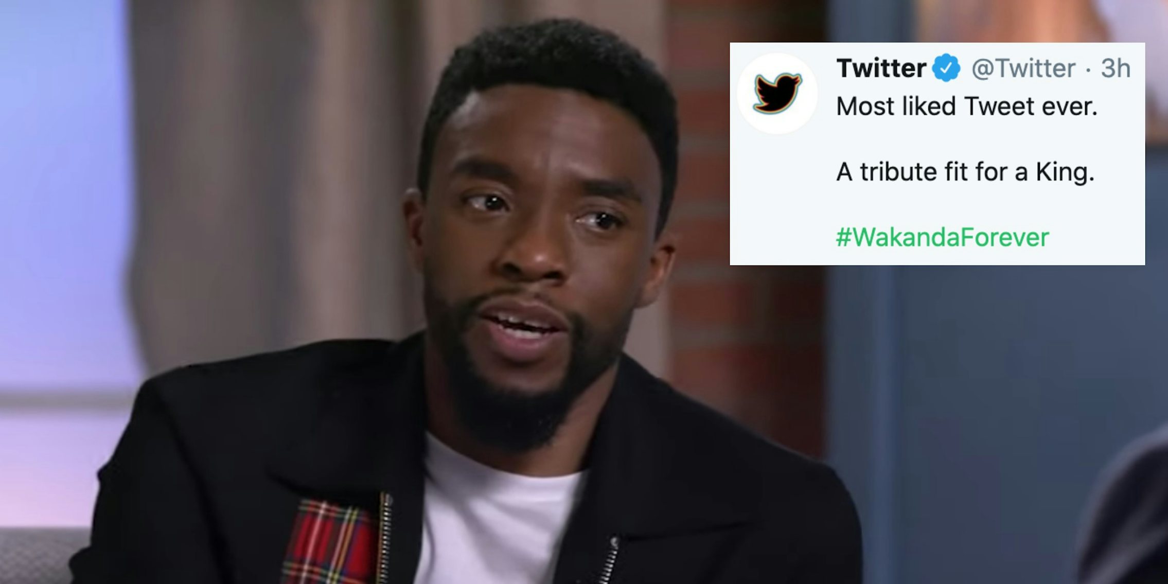 Chadwick Bosemans Tweet Breaks Record As Most Liked Ever 
