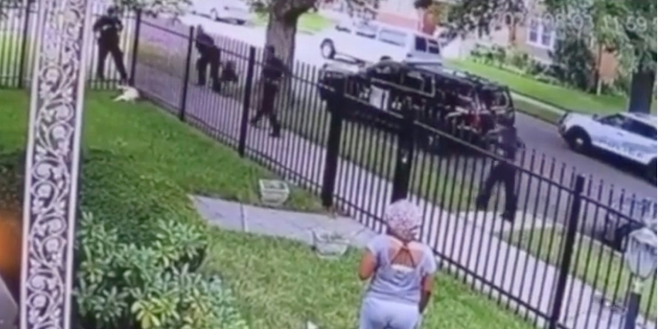 surveillance video of a cop shooting a dog