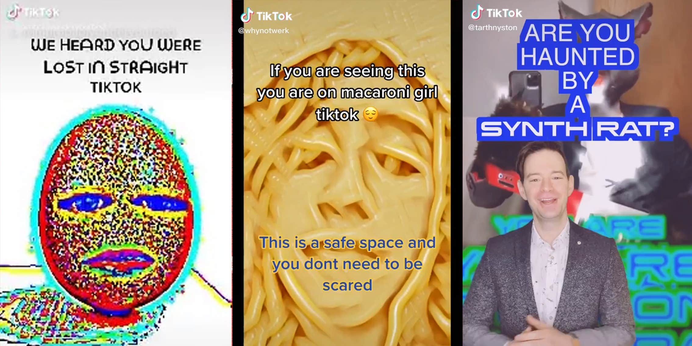 What Part of TikTok Are You On? Its Subcultures Go Deep