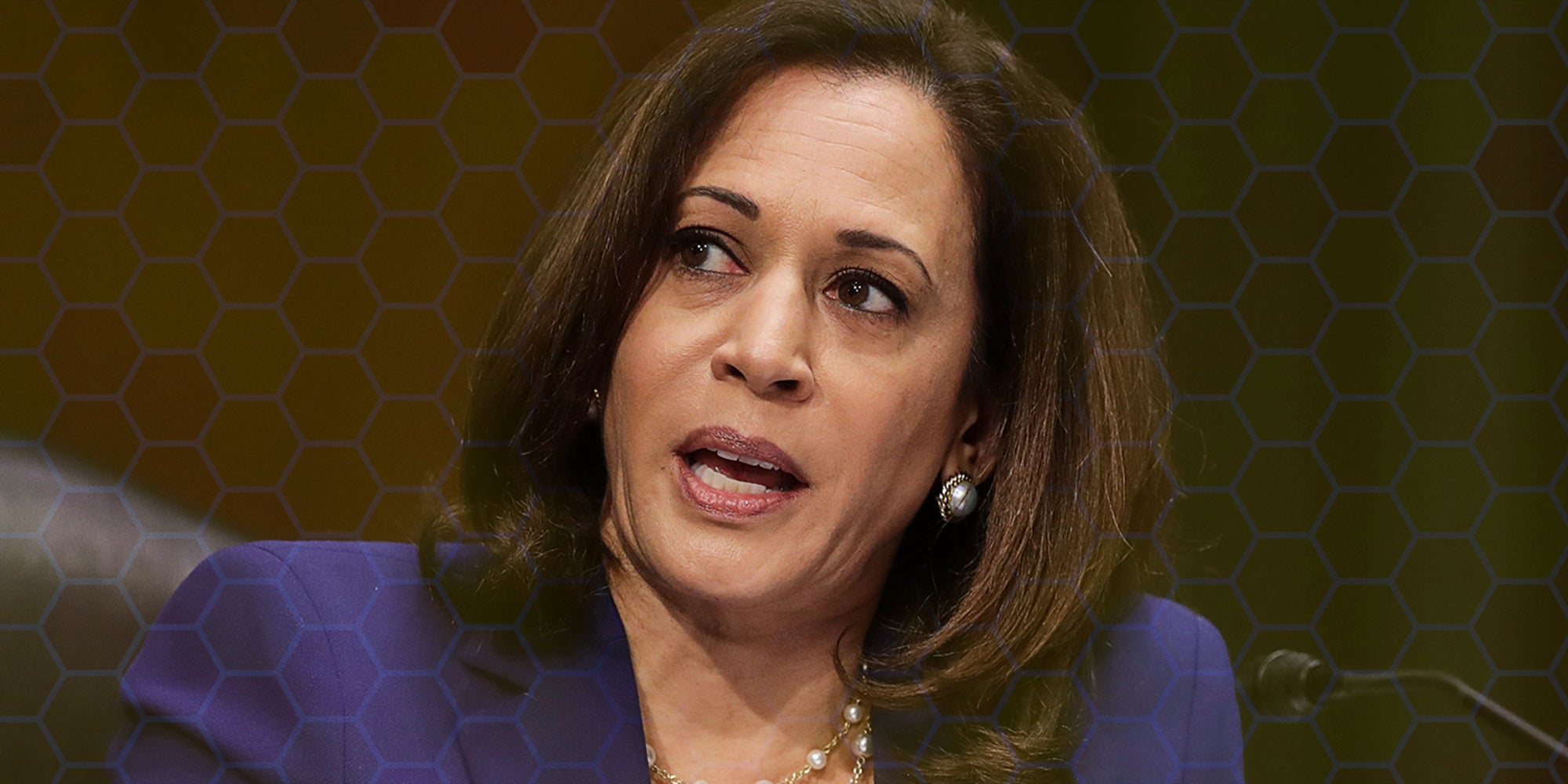 Kamala Harris with beehive background