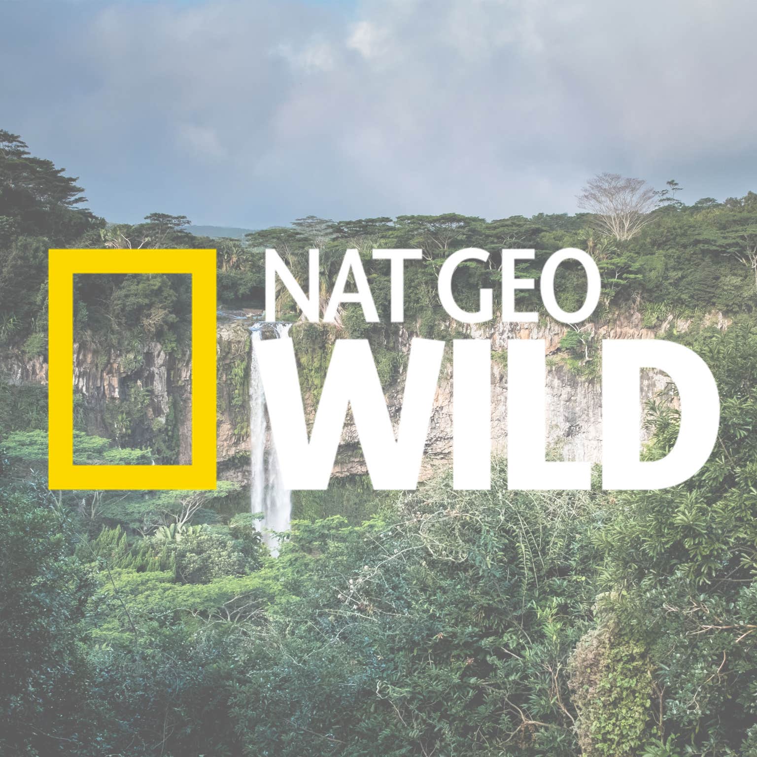 Nat Geo Wild Shows 2024 Olva Tommie nat-geo-wild-shows-2024-olva-tommie