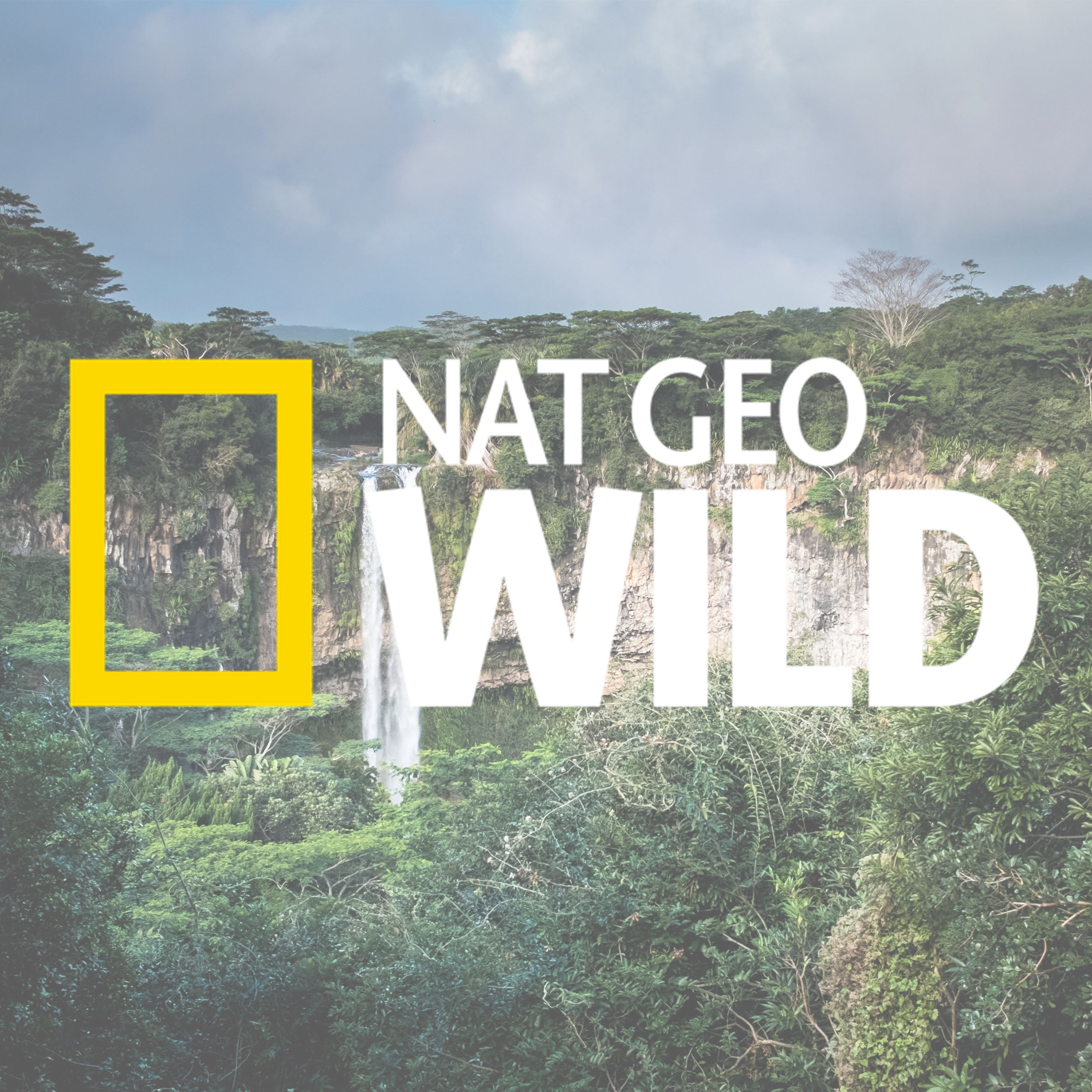 Geographic Wild National Geographic Live Stream DepEd, City Of