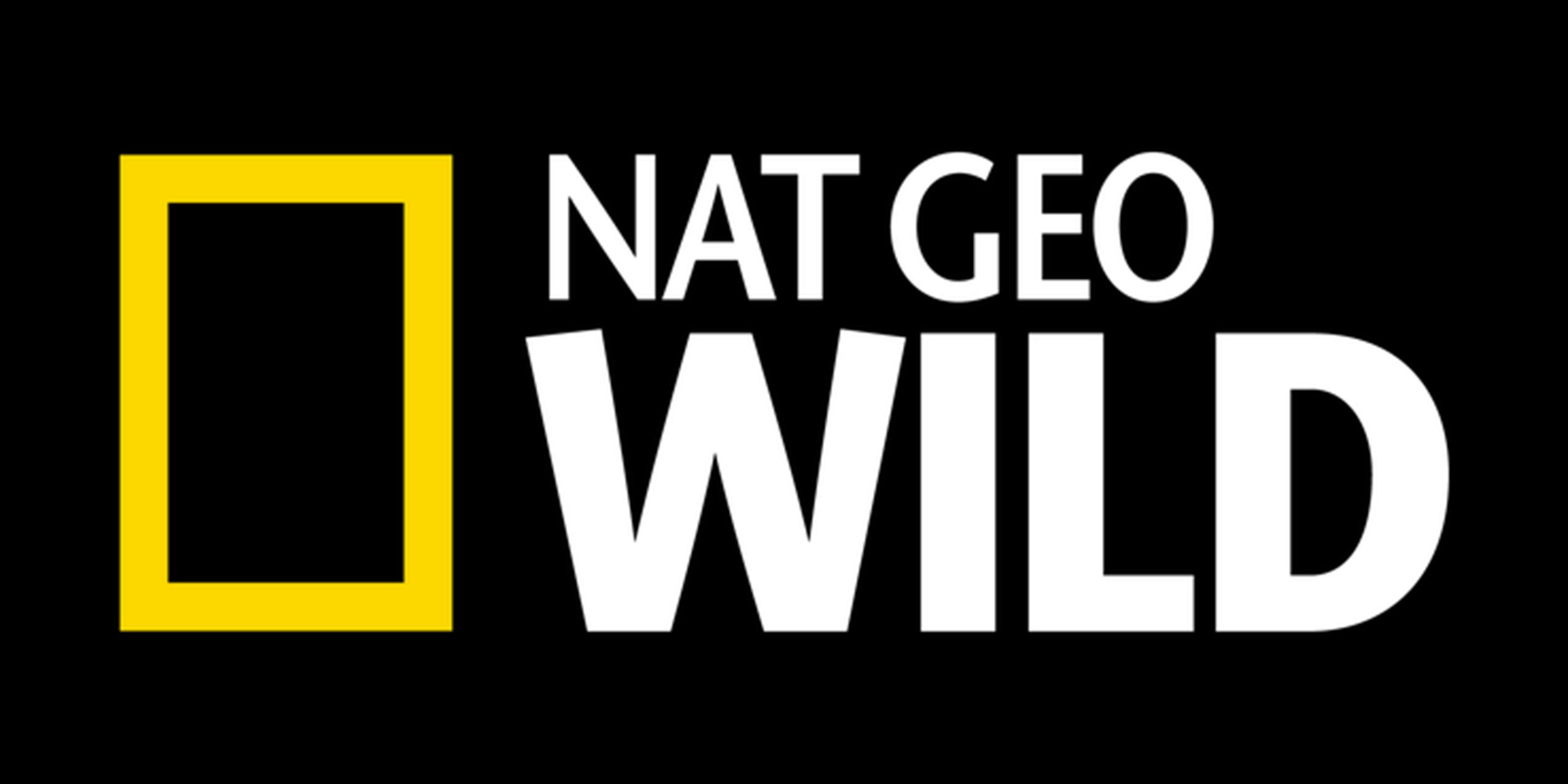 Nat Geo Wild Live Stream How to Watch Nat Geo Wild Online