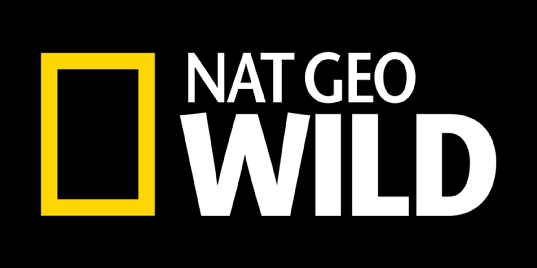 Nat Geo Wild Live Stream: How to Watch Nat Geo Wild Online