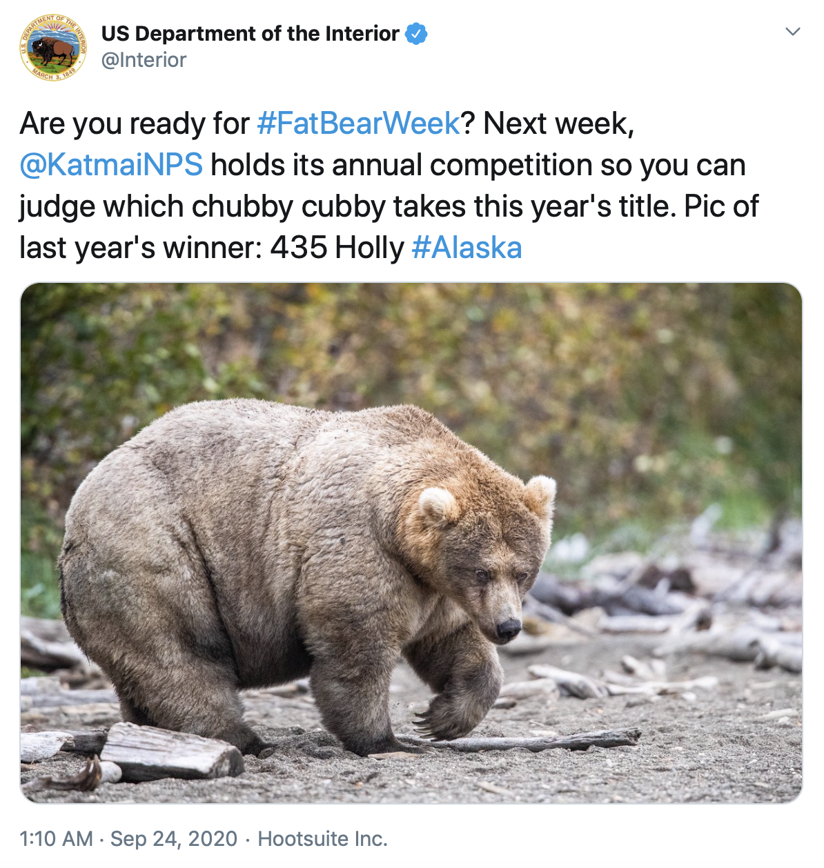 Time to Vote Fat Bear Week Returns Next Week for Fifth Year