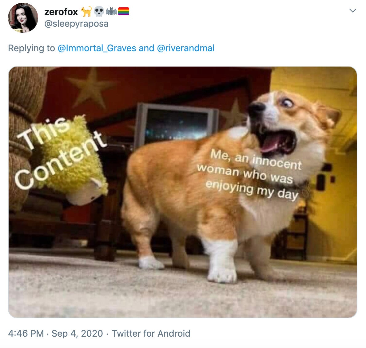 a picture of a corgi looking alarmed by a falling sheep toy with the caption 'me an innocent woman who was enjoying my day' over the corgi and 'this content' over the sheep