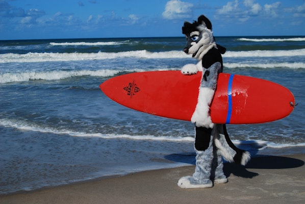 A furry holds a surfboard on the beach