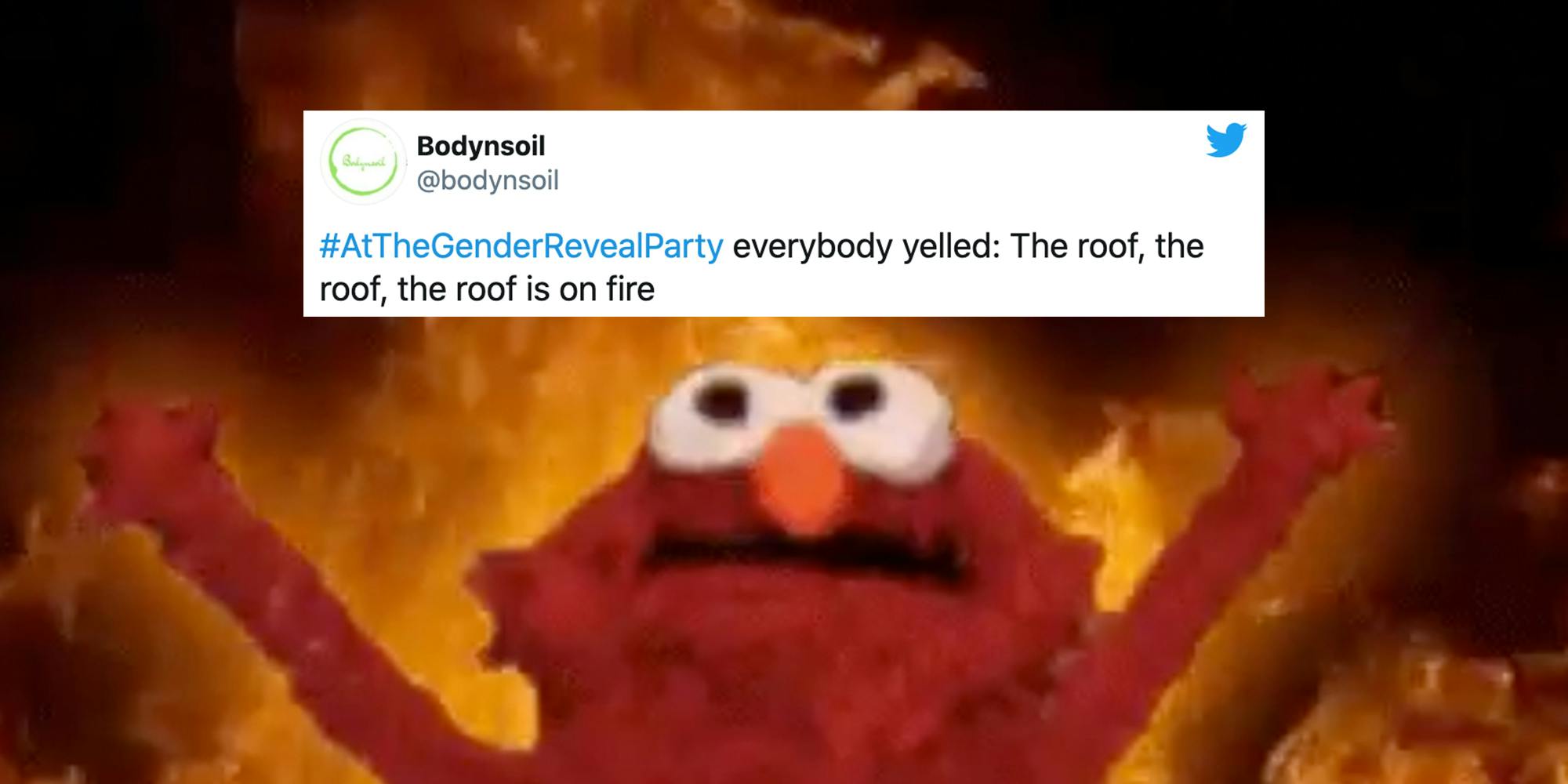 Gender Reveal Party Explosion Fire Sparks Memes 8998