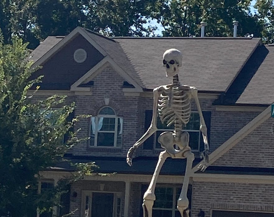 giant home depot skeleton