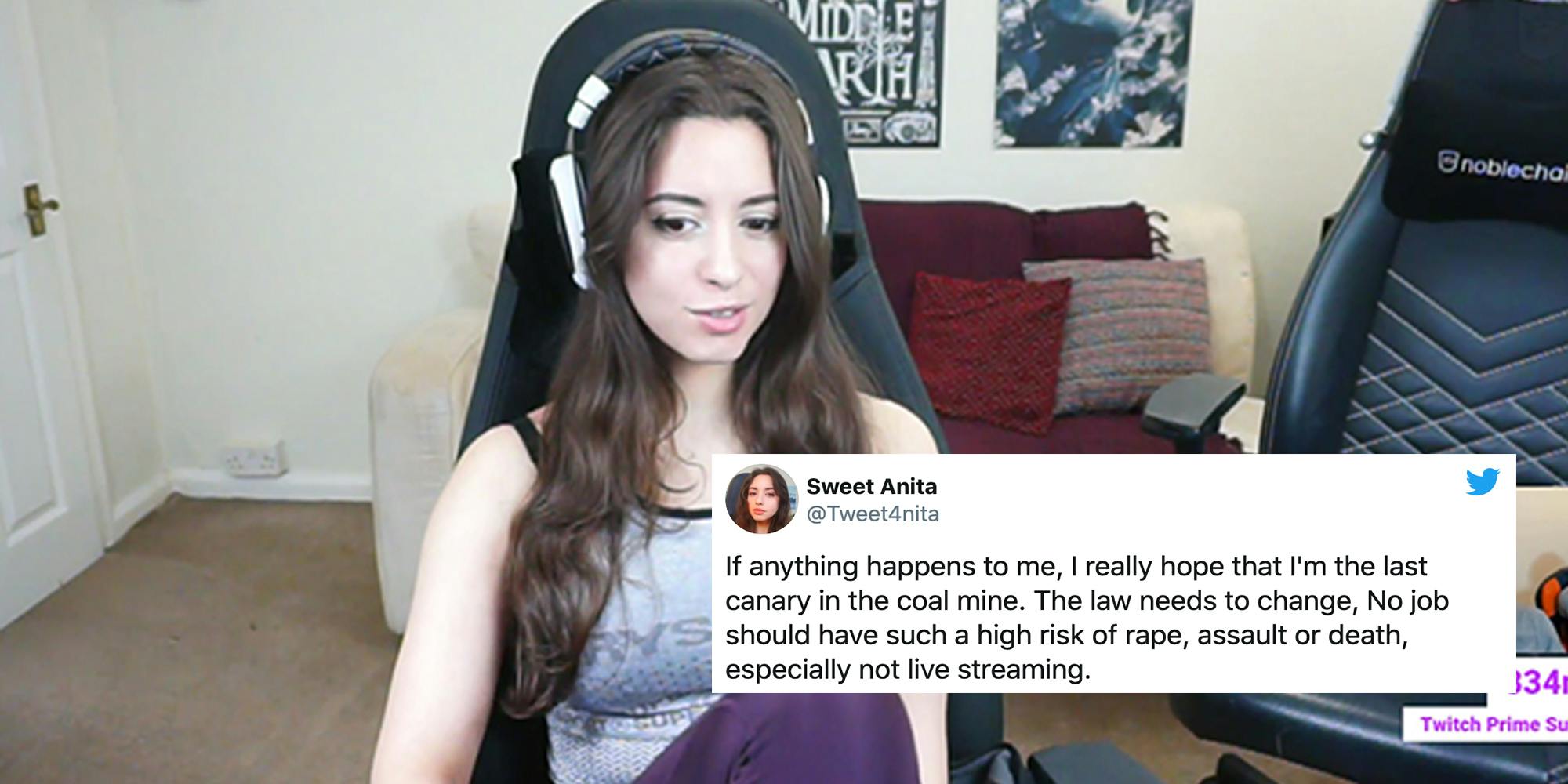 Twitch Streamers Call out Platform for inaction on online stalkers