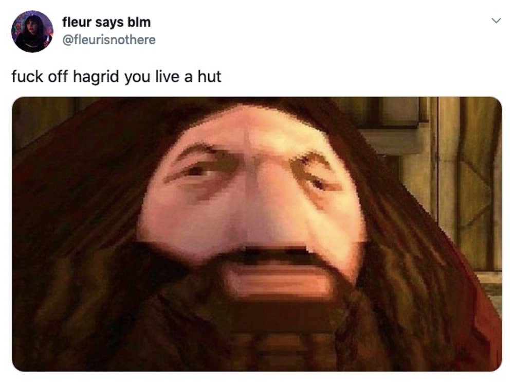 hagrid memes