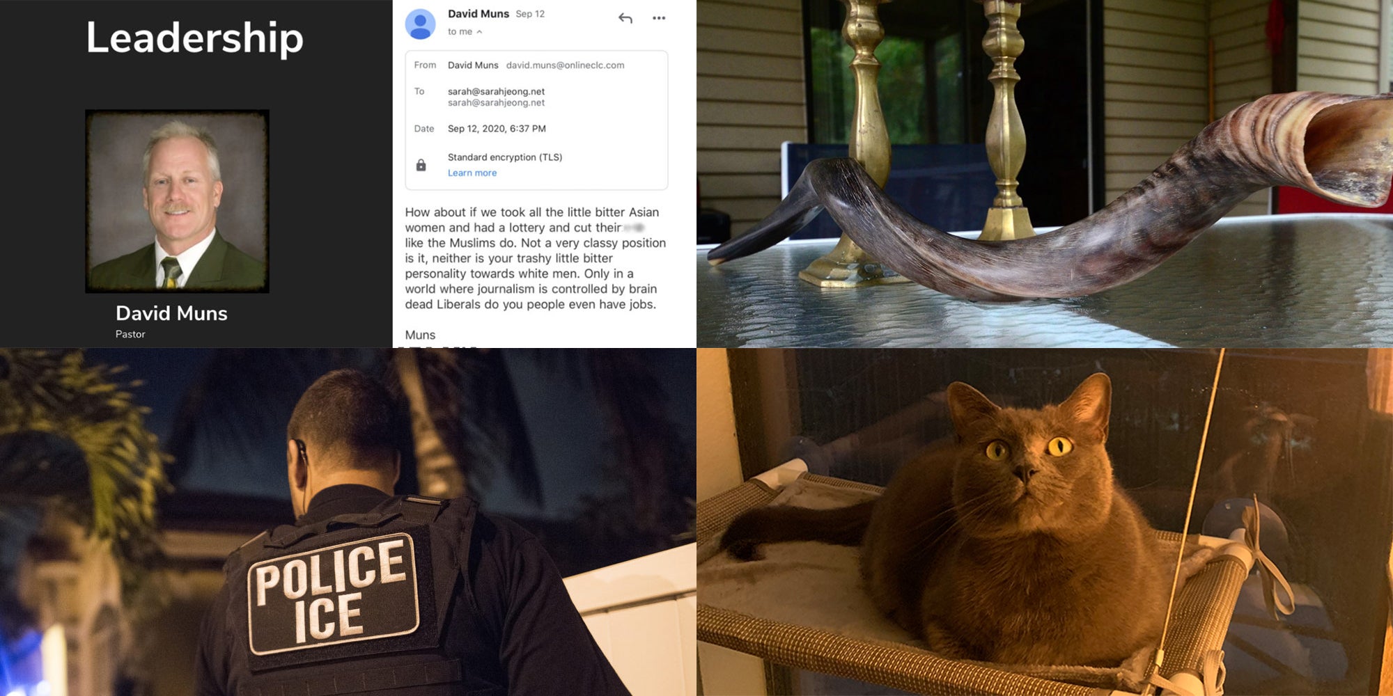 Homepage article image