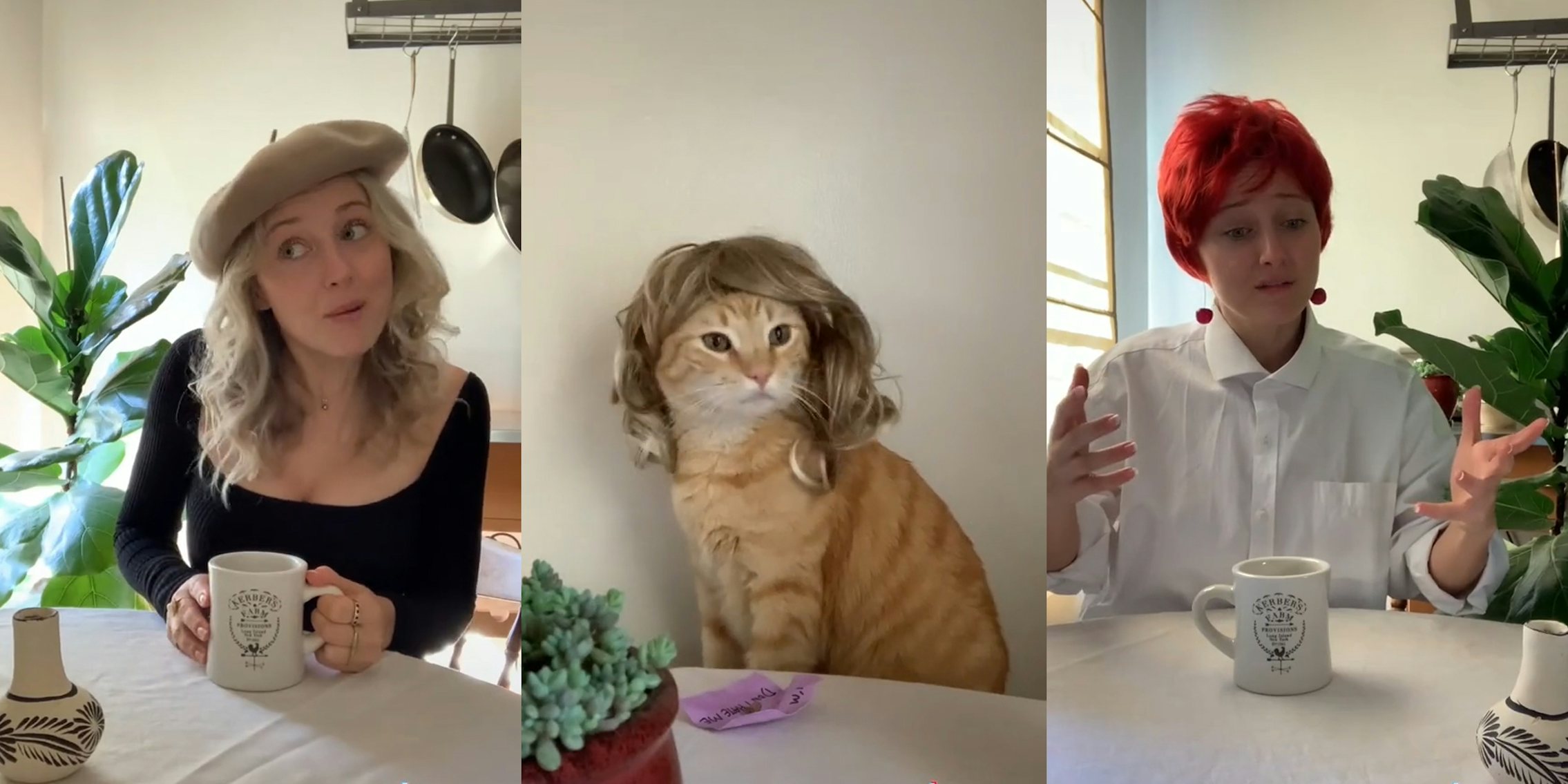 woman recreating sex and the city with her cat